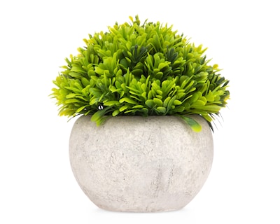 Foto 1 | Foto 1 | Planta Artificial con Maceta Starhaus 12 cm