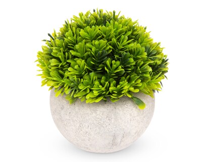Foto 2 | Foto 2 | Planta Artificial con Maceta Starhaus 12 cm