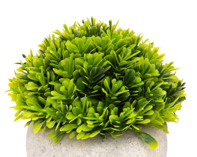 Foto 3 | Foto 3 | Planta Artificial con Maceta Starhaus 12 cm