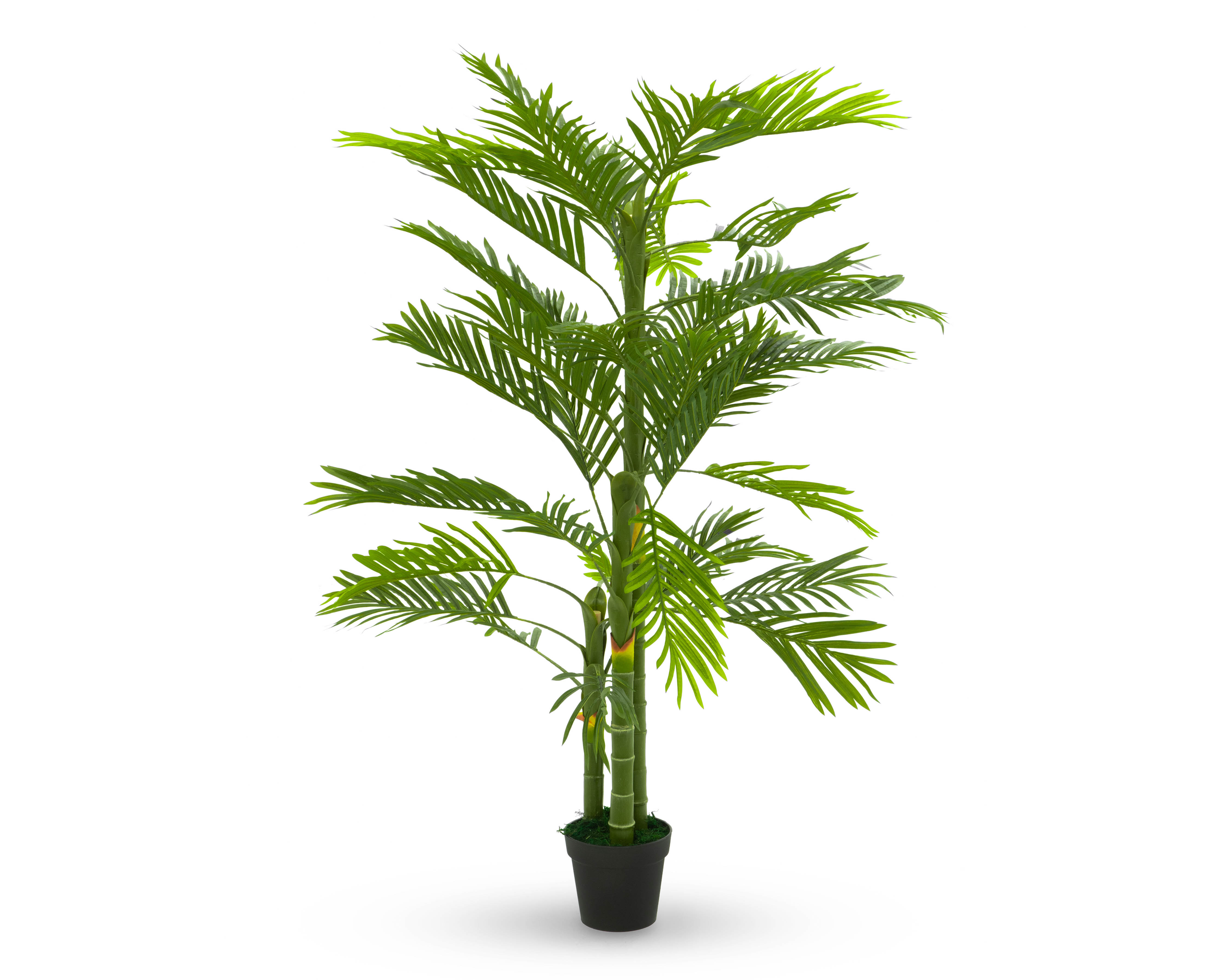 Foto 3 pulgar | Foto 2 | Palmera Artificial Starhaus 180 cm