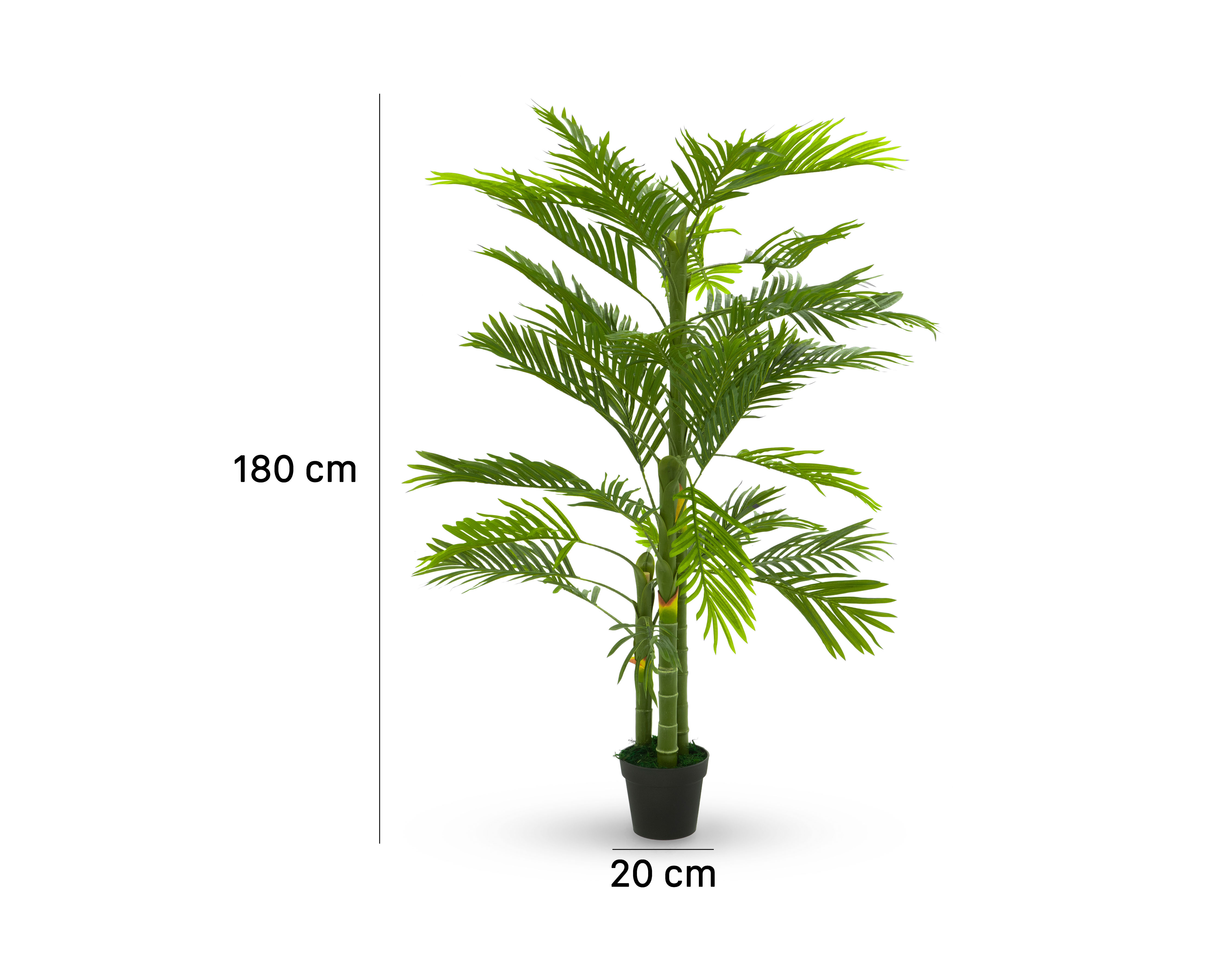 Foto 6 pulgar | Foto 5 | Palmera Artificial Starhaus 180 cm