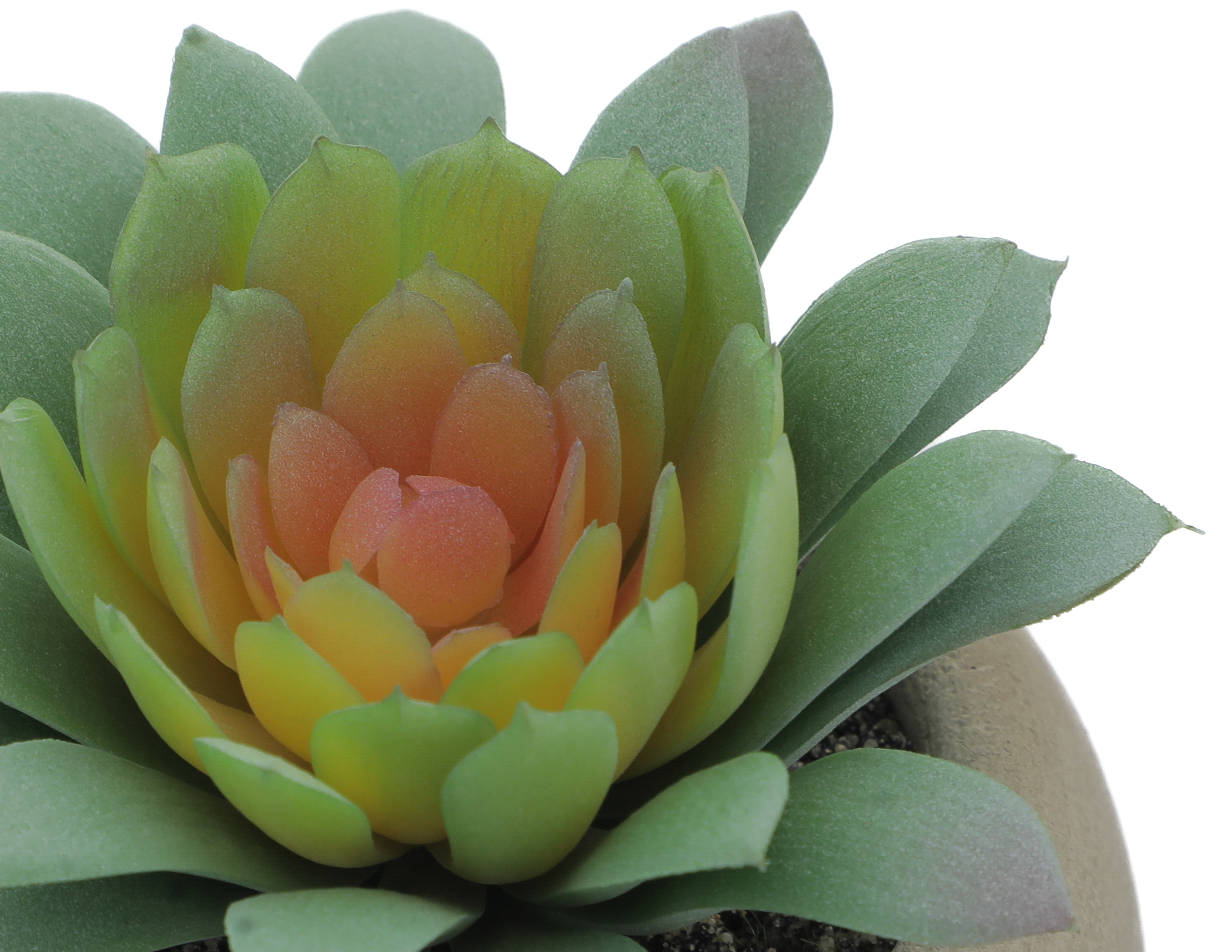 Foto 3 | Foto 3 | Planta Artificial con Maceta Starhaus 8.89 cm