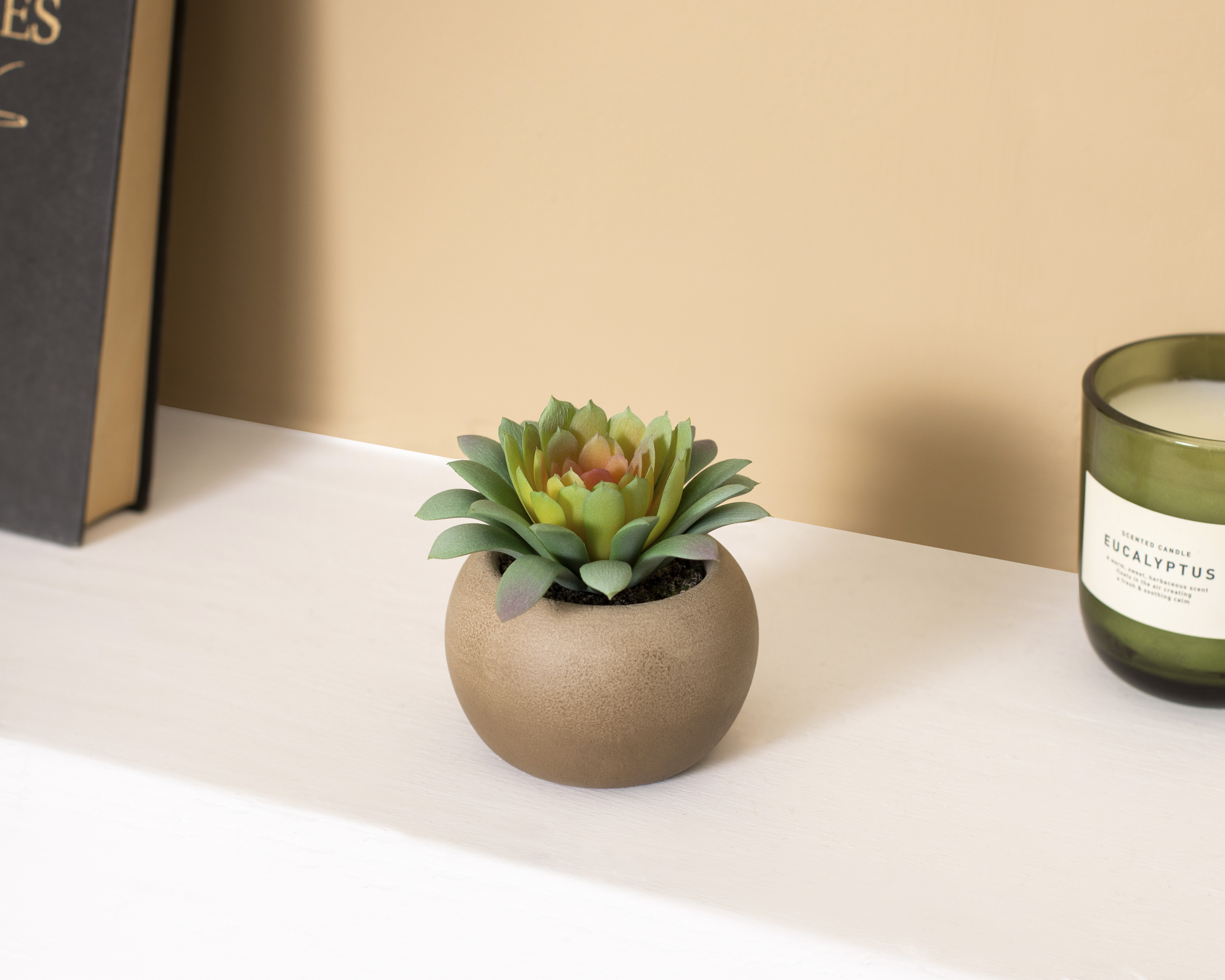 Foto 4 | Foto 4 | Planta Artificial con Maceta Starhaus 8.89 cm