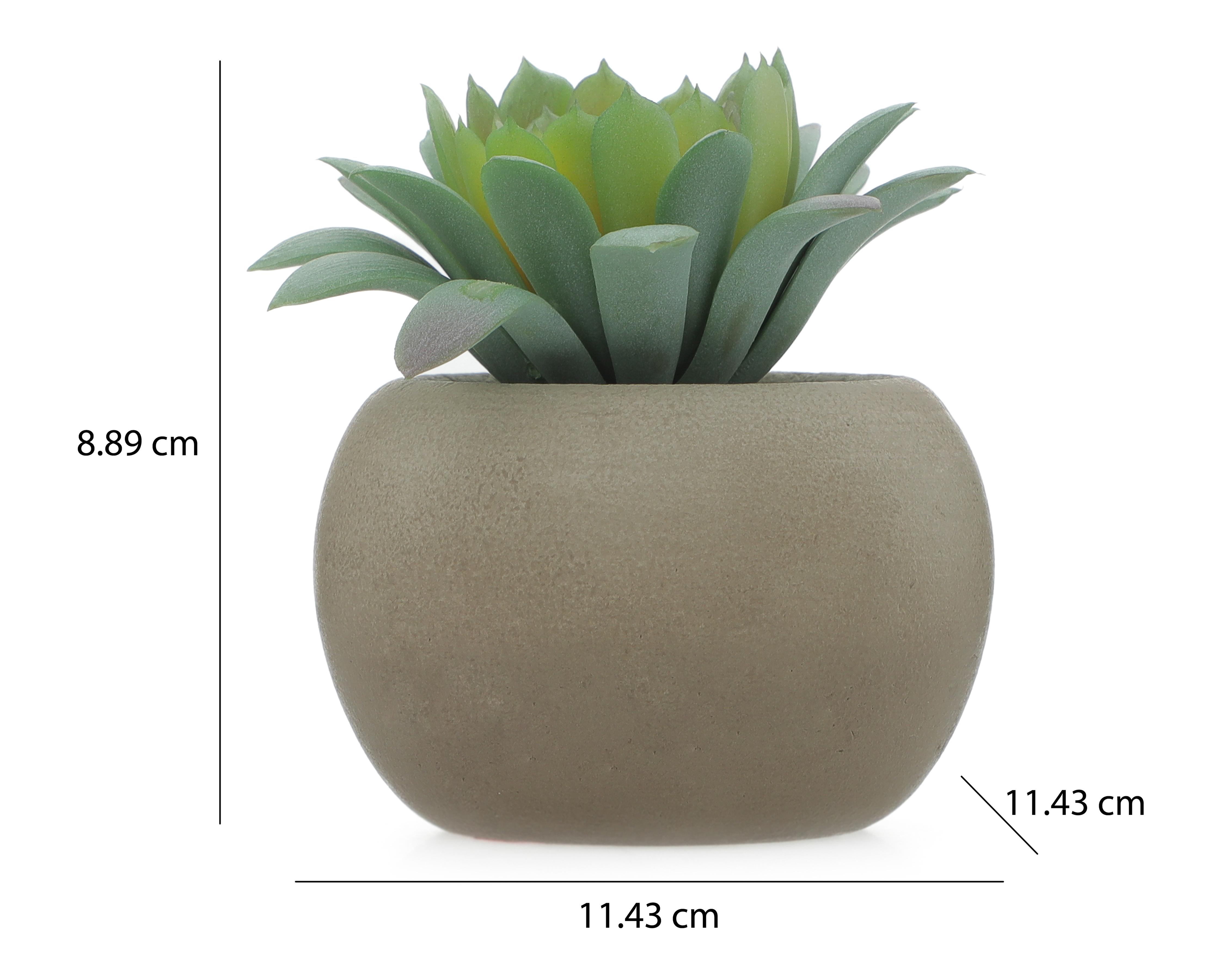 Foto 5 | Foto 5 | Planta Artificial con Maceta Starhaus 8.89 cm