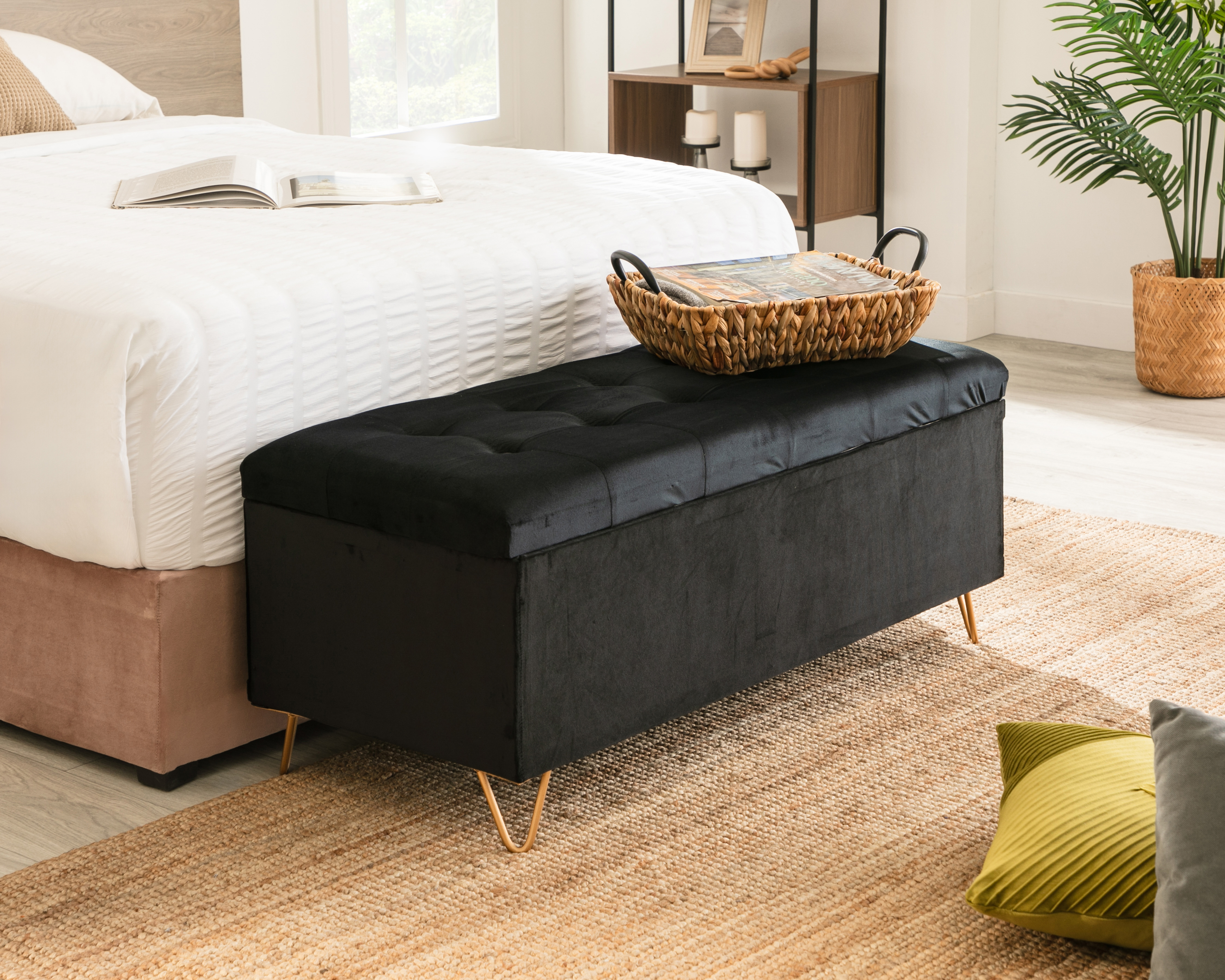 Baúl Apolo Contemporáneo 1 Pieza