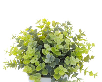 Foto 3 | Foto 3 | Planta Artificial con Maceta Starhaus 20 cm