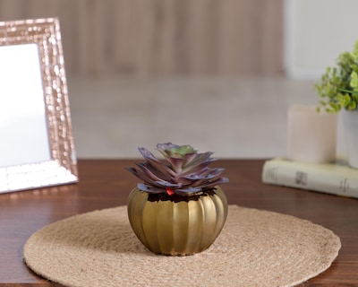 Foto 4 | Foto 4 | Planta Artificial con Maceta Starhaus 13 cm