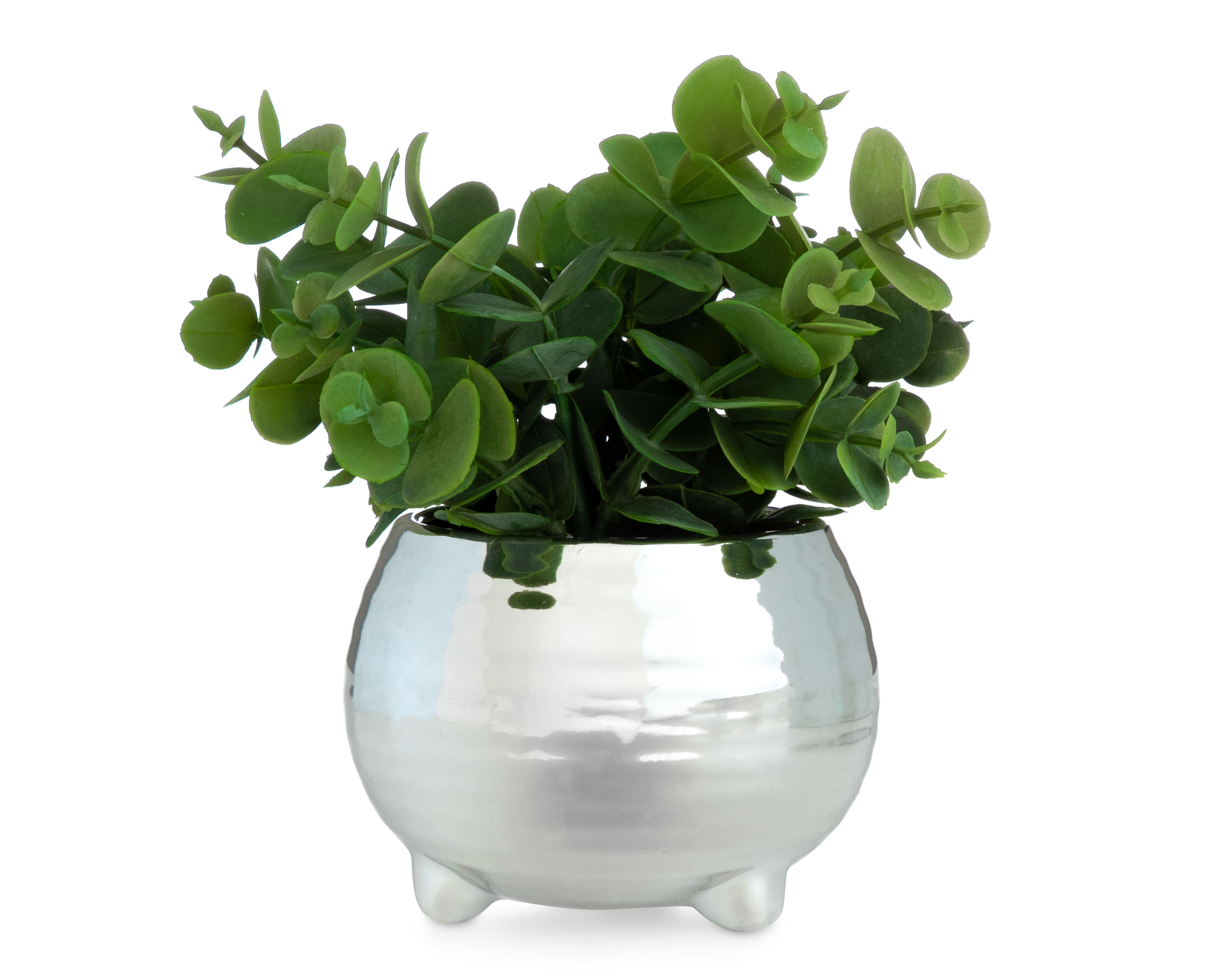 Planta Artificial Starhaus 16.5 cm