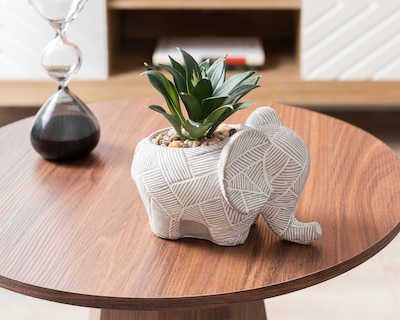 Foto 4 | Foto 4 | Planta Artificial con Maceta Starhaus 17 cm