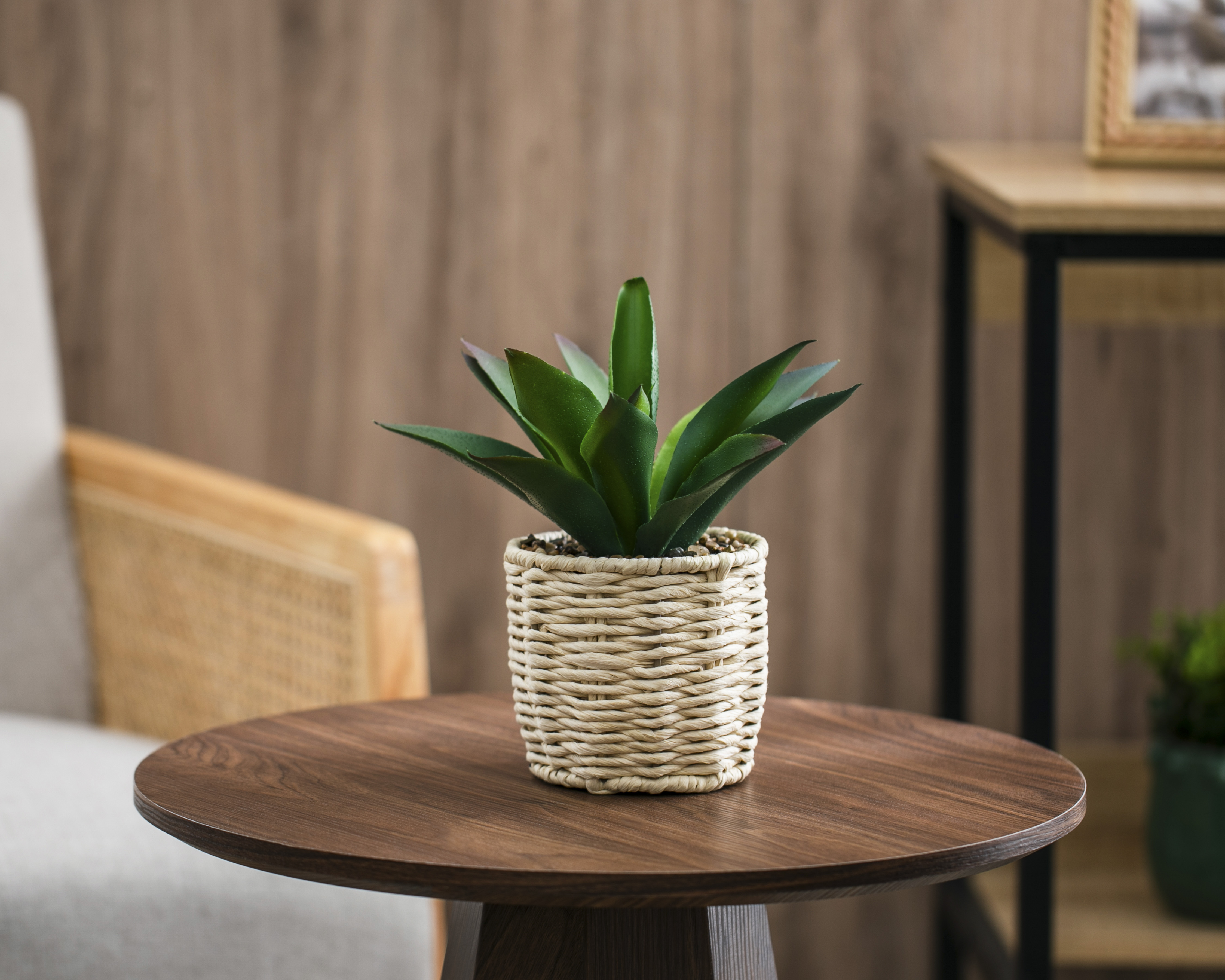 Foto 4 | Foto 4 | Planta Artificial con Maceta Starhaus 20 cm