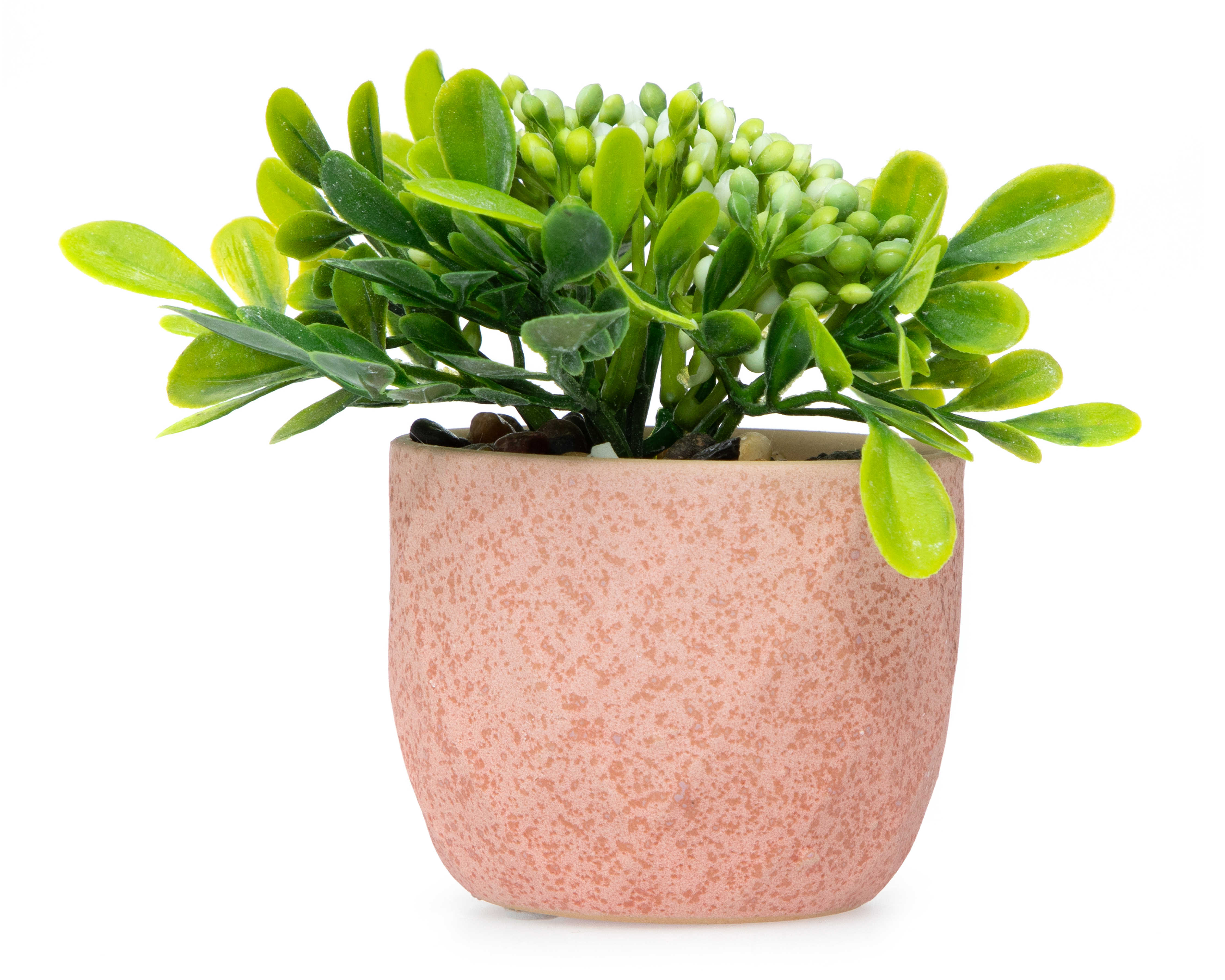 Foto 1 | Foto 1 | Planta Artificial con Maceta Starhaus 12 cm