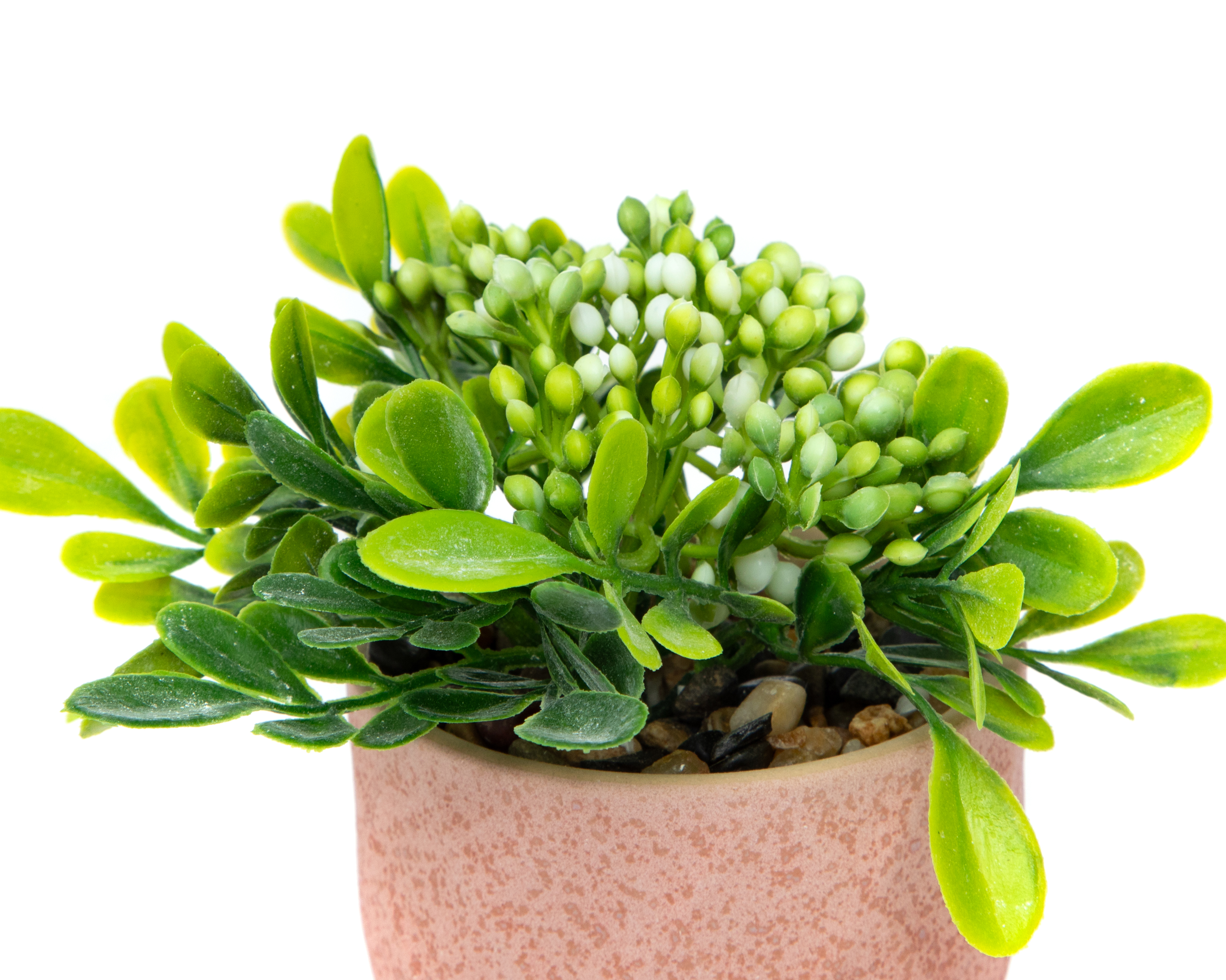 Foto 4 pulgar | Foto 3 | Planta Artificial con Maceta Starhaus 12 cm