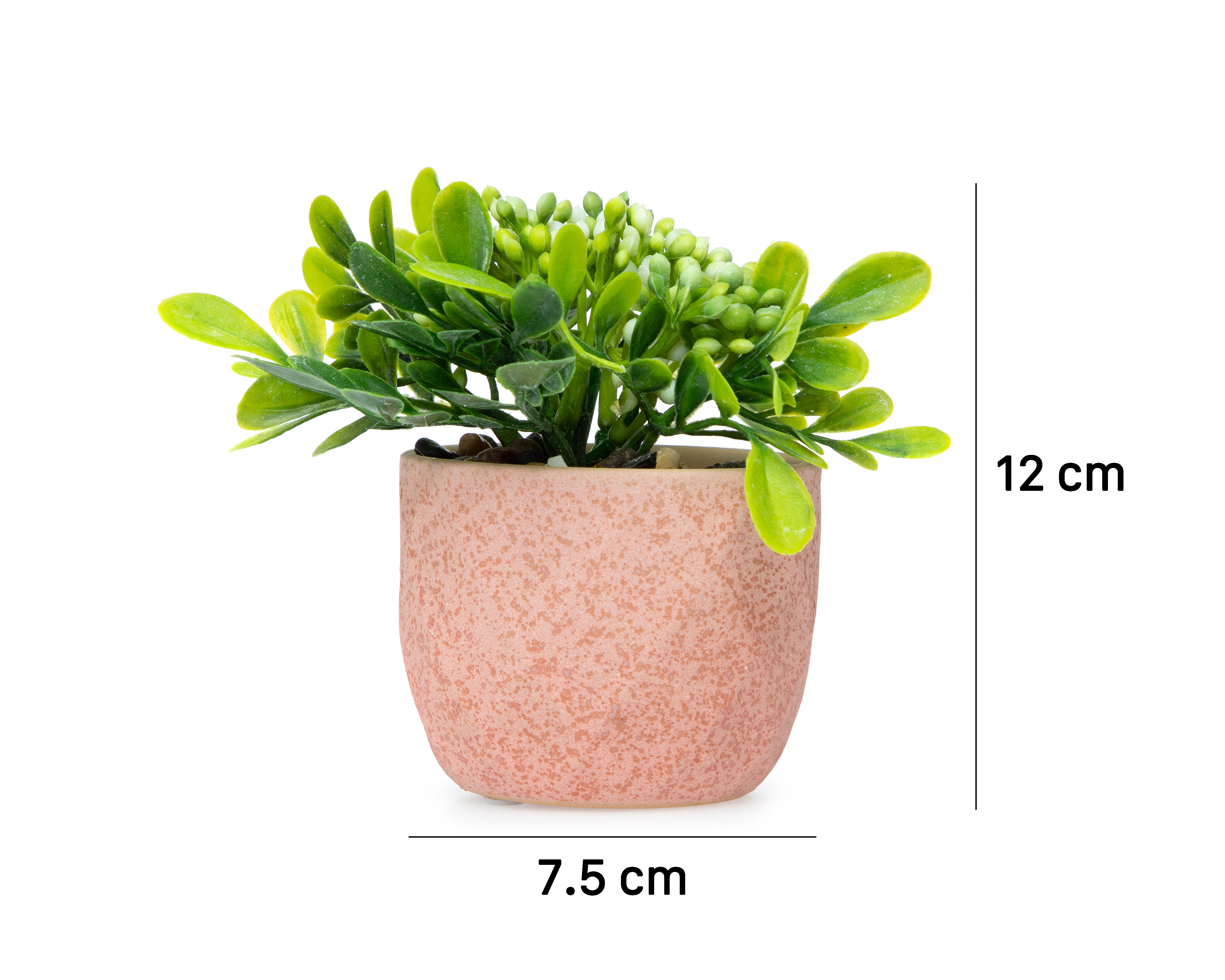 Foto 6 pulgar | Foto 5 | Planta Artificial con Maceta Starhaus 12 cm
