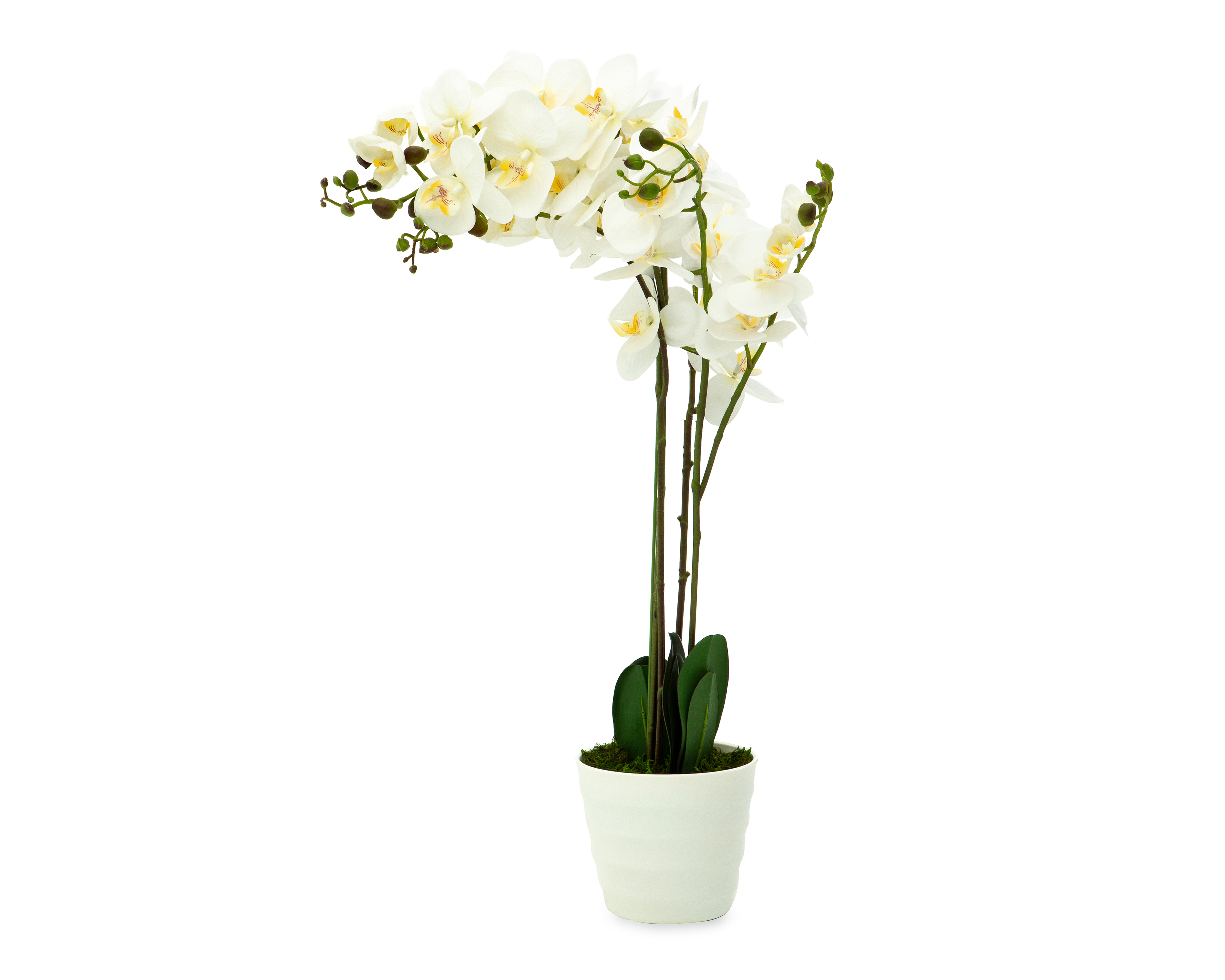 Foto 2 pulgar | Foto 1 | Planta Artificial con Maceta Starhaus 75 cm