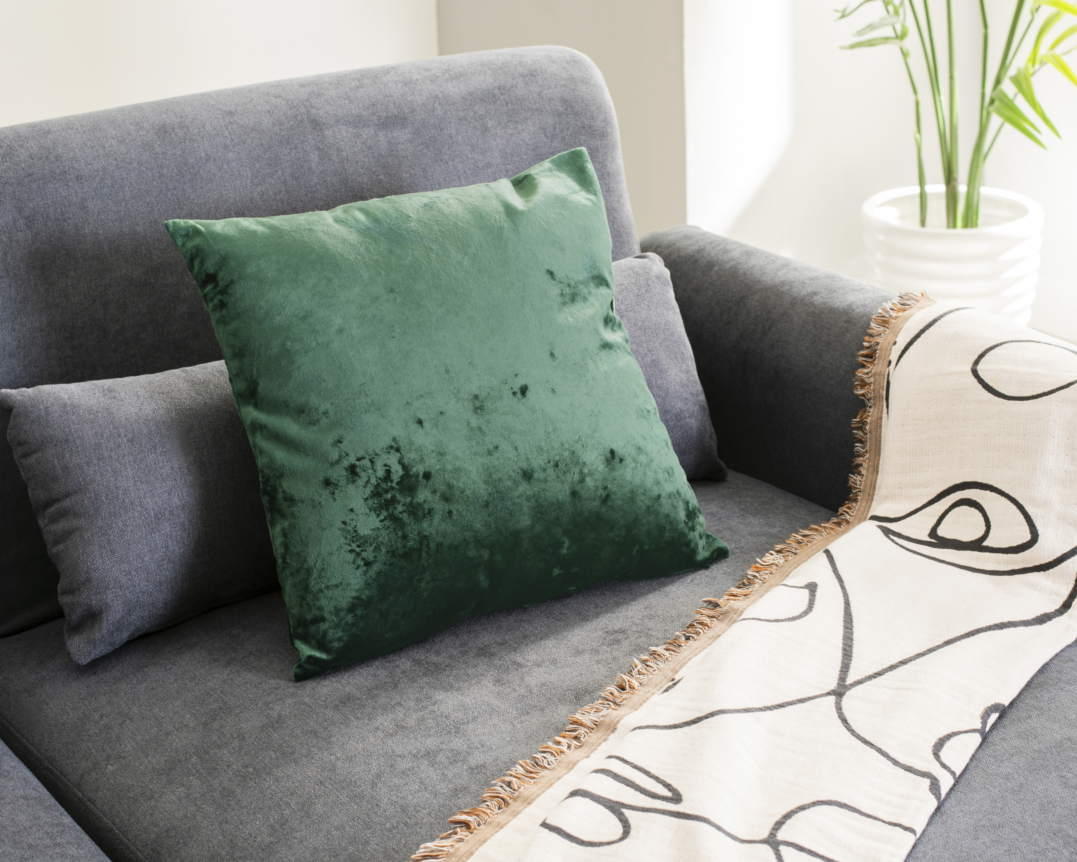 Foto 5 | Foto 5 | Cojín Decorativo Pine