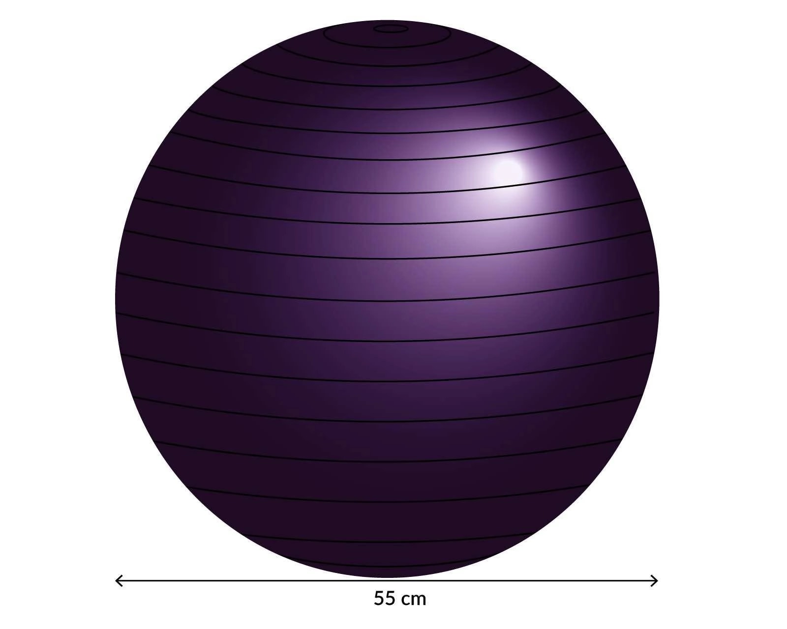 Foto 5 | Foto 5 | Pelota para Pilates Wilson PP0055