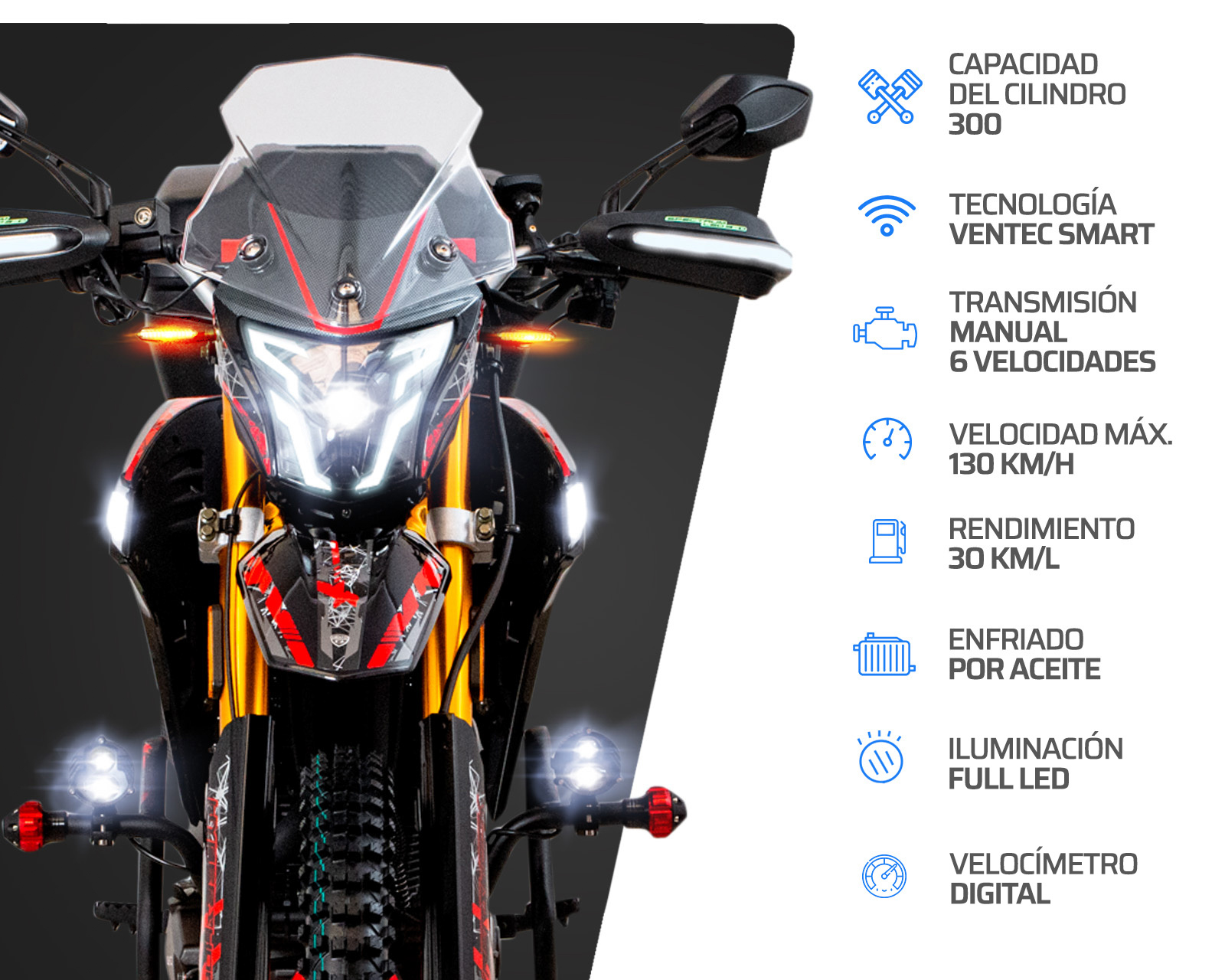 Foto 5 | Foto 5 | Motocicleta Vento Crossmax 300 Rally TRX 300 cc 2026