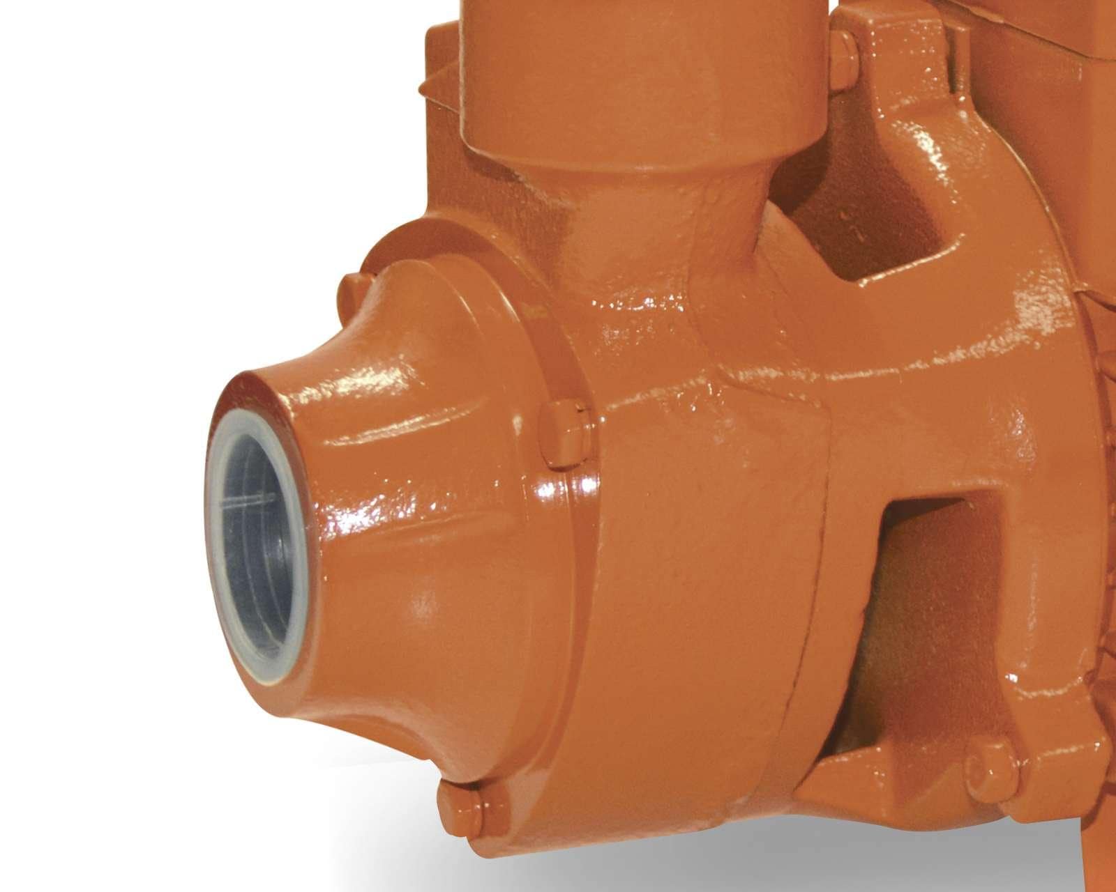 Foto 4 pulgar | Foto 3 | Bomba Periférica Evans .5H