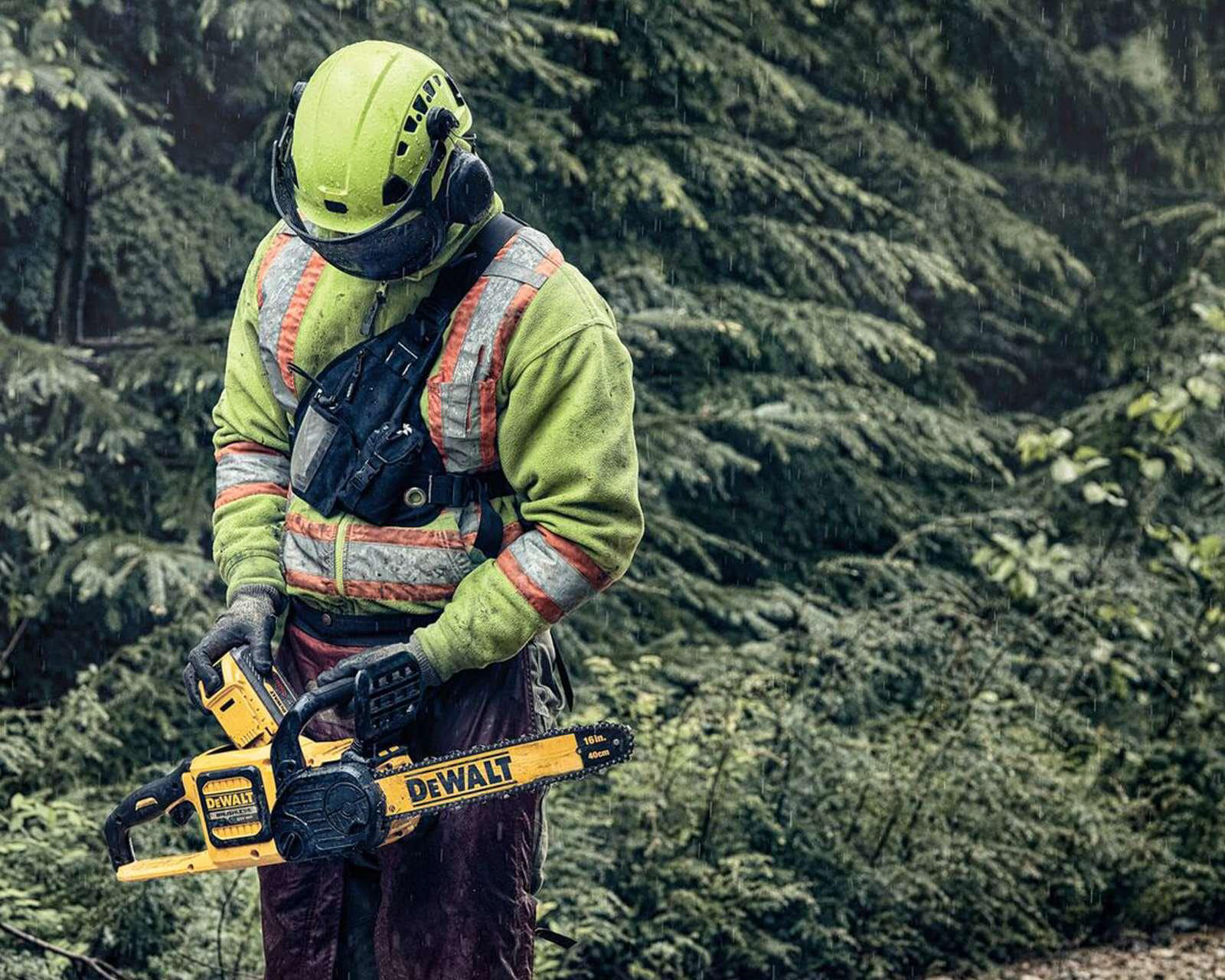 Foto 9 | Foto 9 | Motosierra Eléctrica Dewalt 60 V 16"
