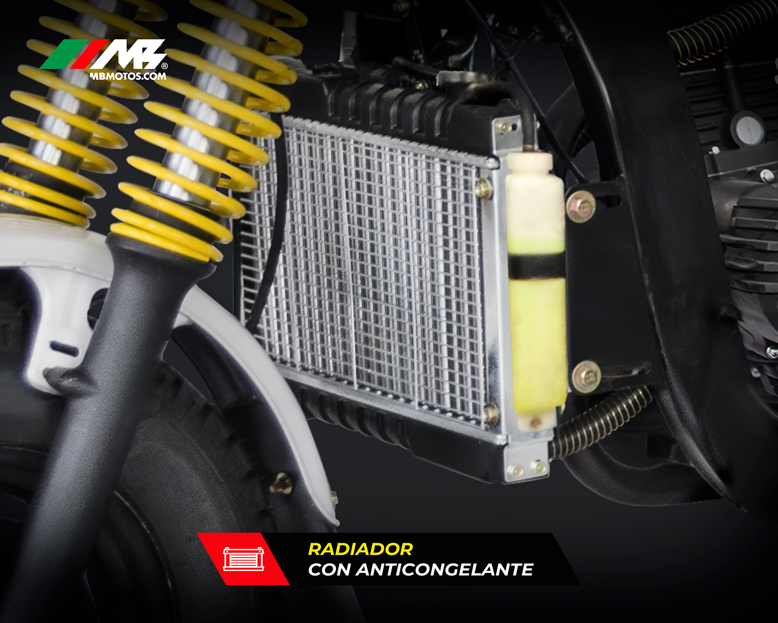 Foto 7 | Foto 7 | Motocarro MB Motos Forzza 300 cc 2026