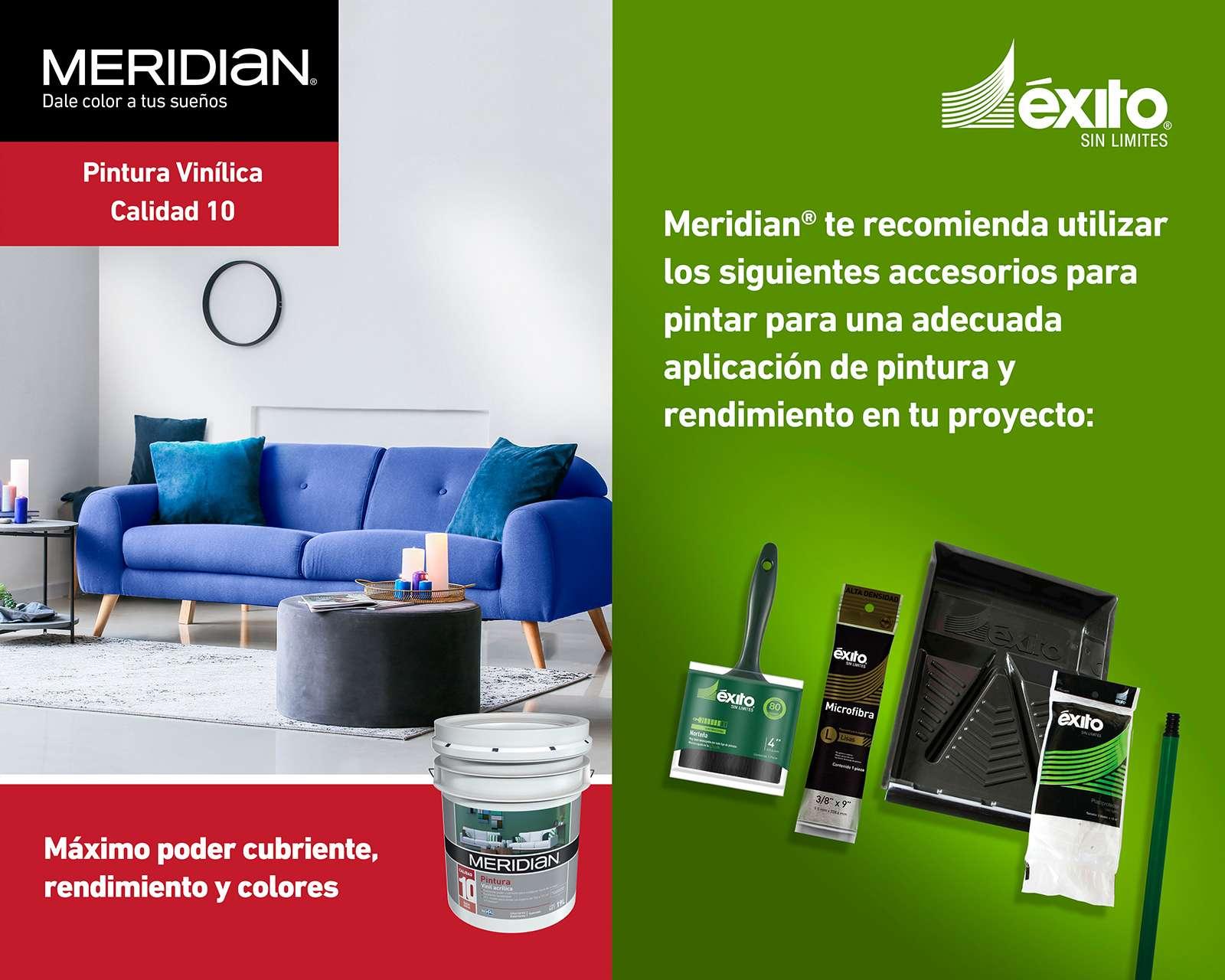 Foto 7 pulgar | Foto 6 | Pintura Meridian Blanca 19 Litros