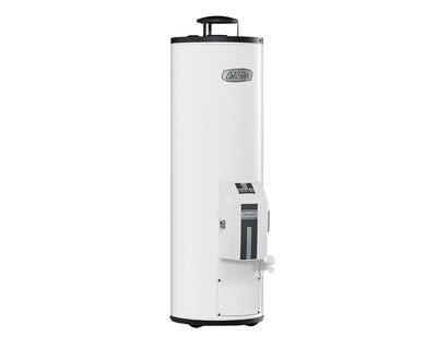 Foto 1 | Foto 1 | Calentador de Agua de Depósito Calorex G-15 SIN PILOTO 1.5 Servicios Gas Natural