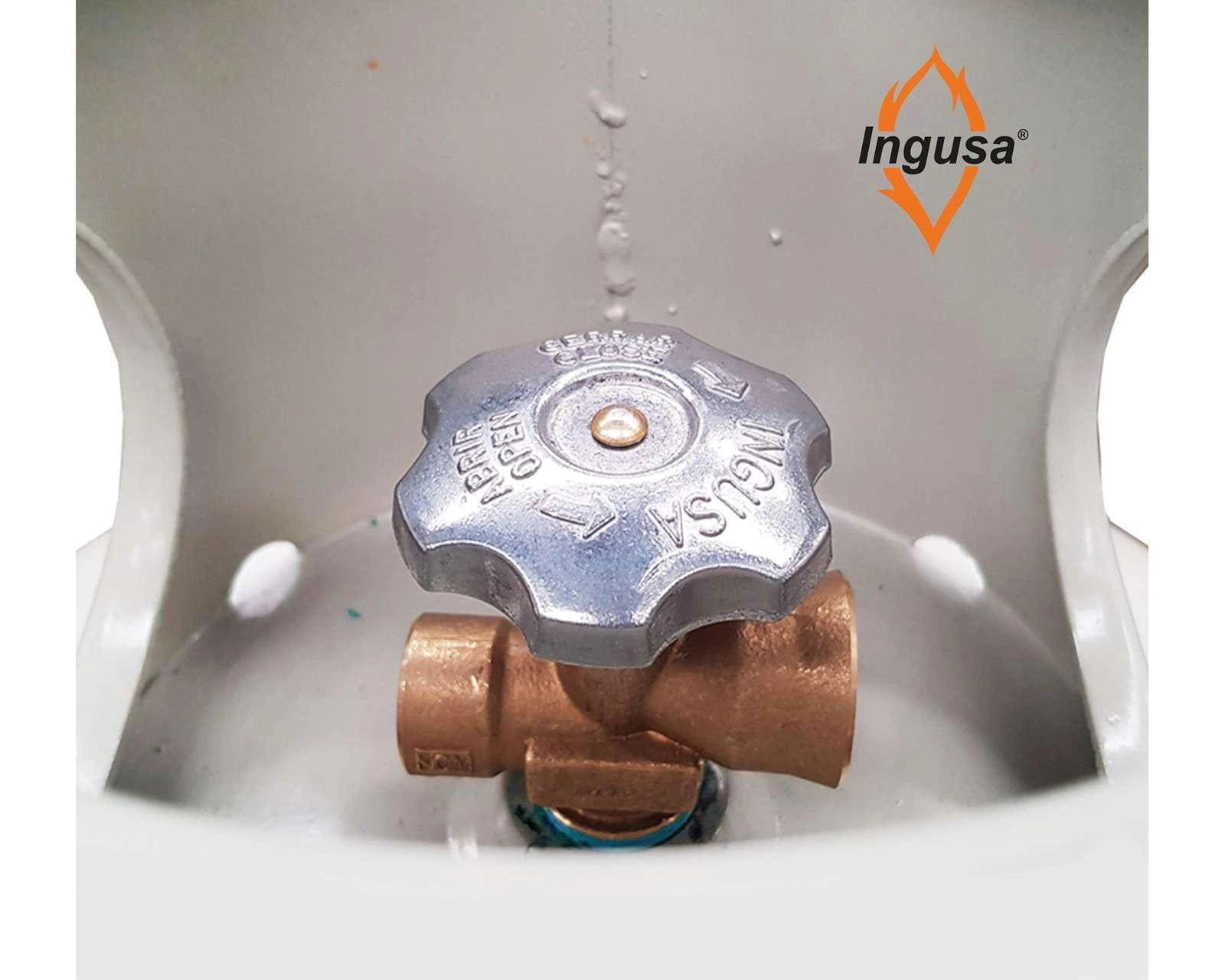 Foto 5 pulgar | Foto 4 | Cilindro de Gas LP Ingusa FL-TAN-C0006 6 kg