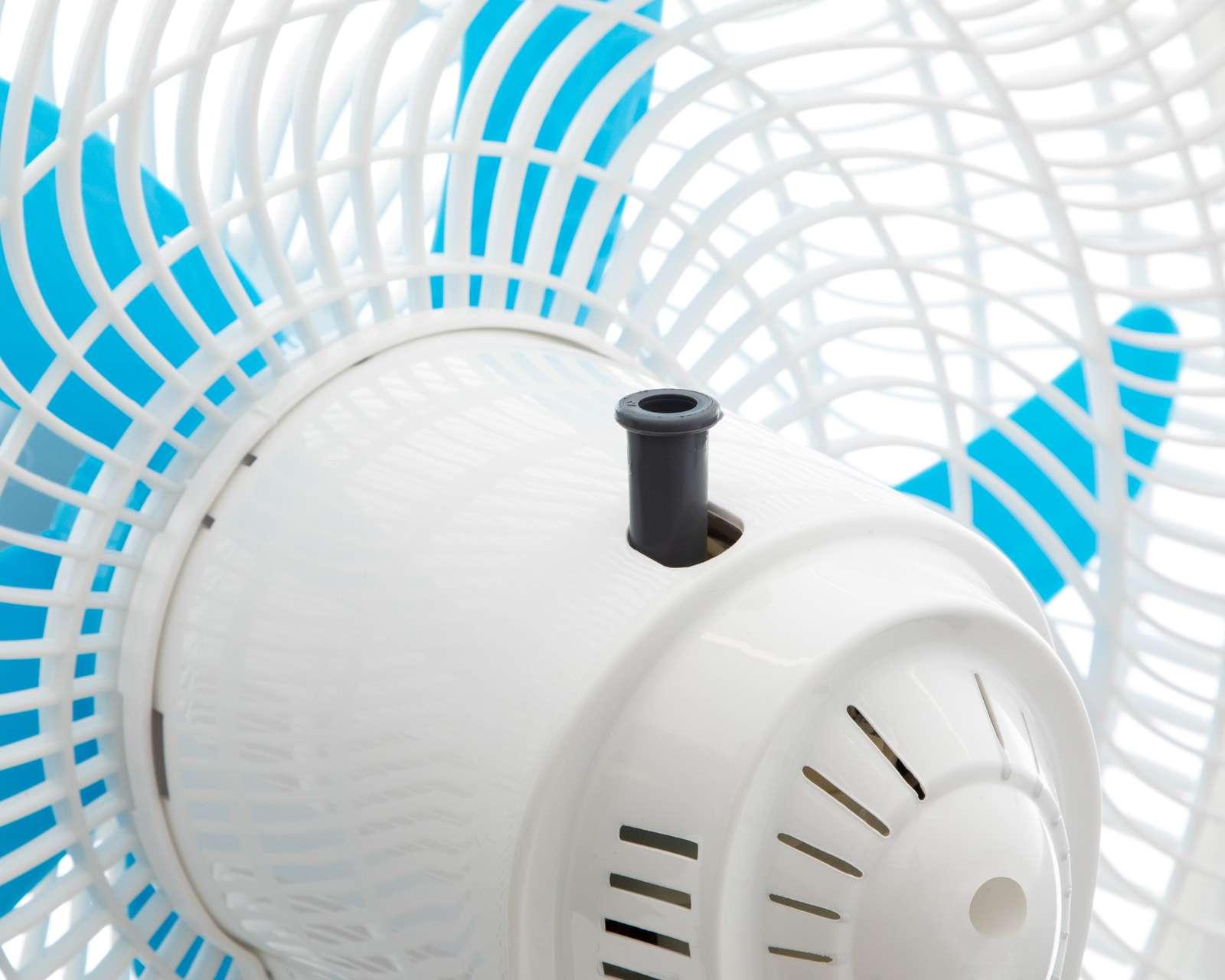 Foto 5 pulgar | Foto 4 | Ventilador de Pedestal Taurus