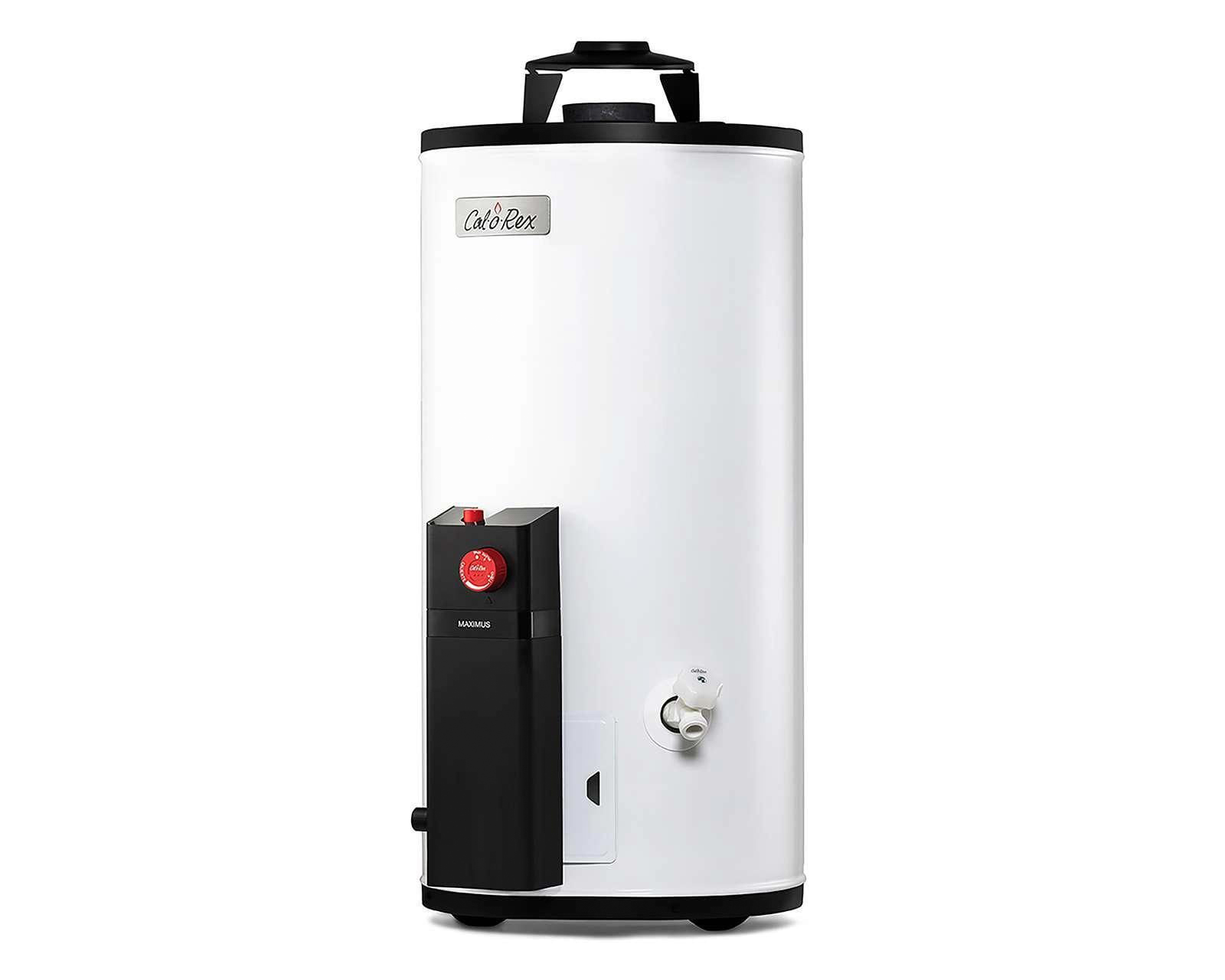 Foto 3 | Foto 3 | Calentador de Agua Calorex Maximus G10 de 1 Servicio Gas LP