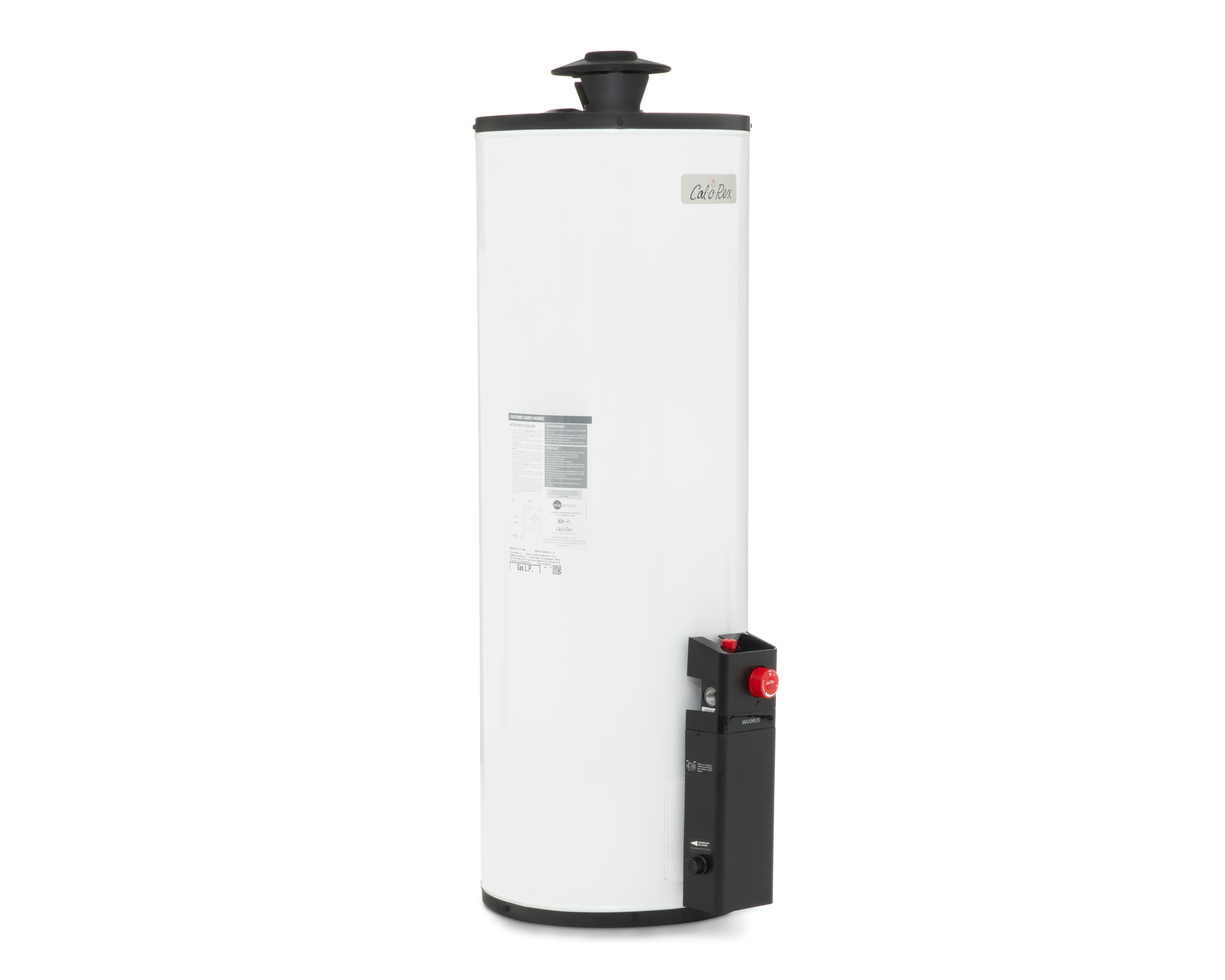 Foto 2 | Foto 2 | Calentador de Agua Calorex Maximus G15 1.5 Servicios Gas LP