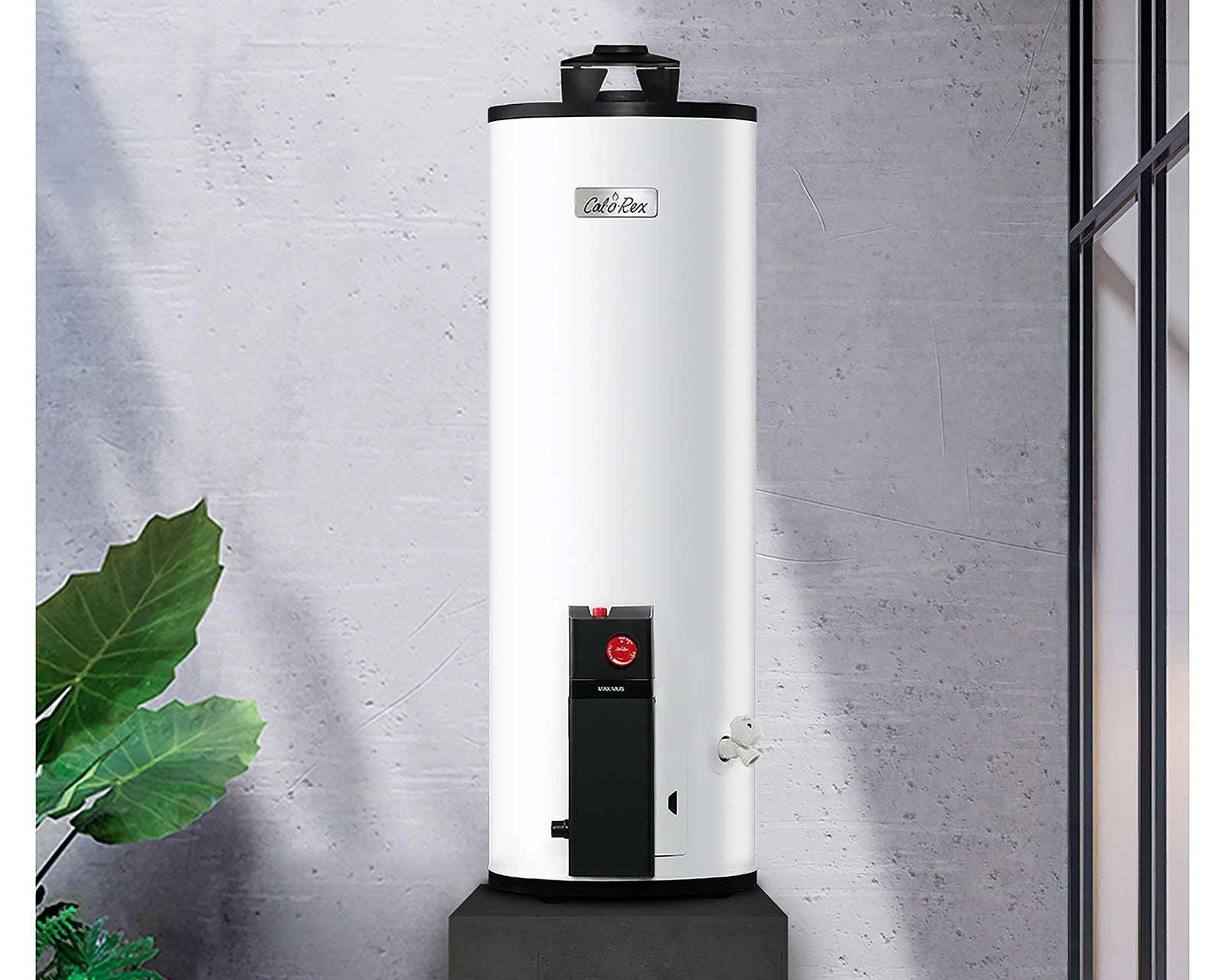 Foto 6 | Foto 6 | Calentador de Agua Calorex Maximus G15 1.5 Servicios Gas LP