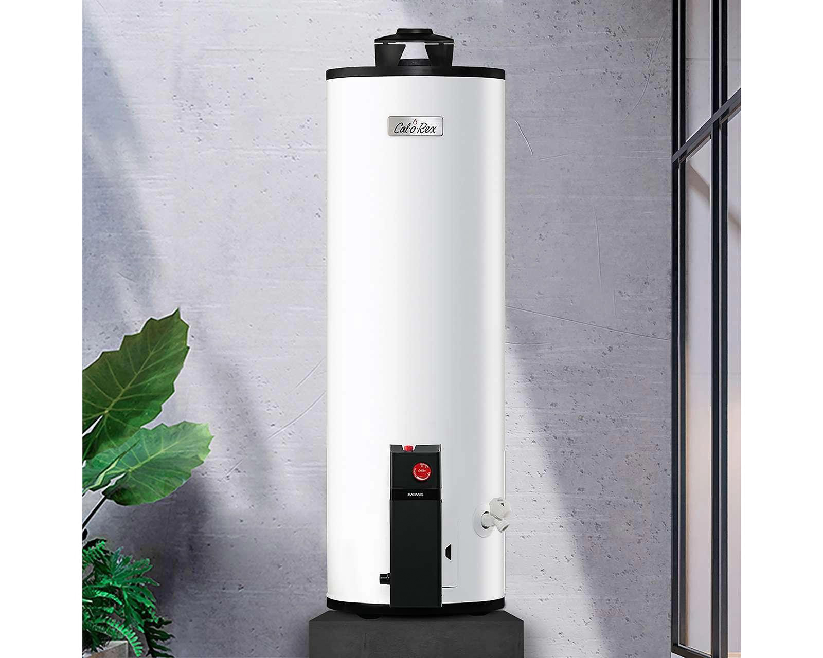 Foto 6 | Foto 6 | Calentador de Agua Maximus-G30 Calorex de 3 Servicios Gas Natural