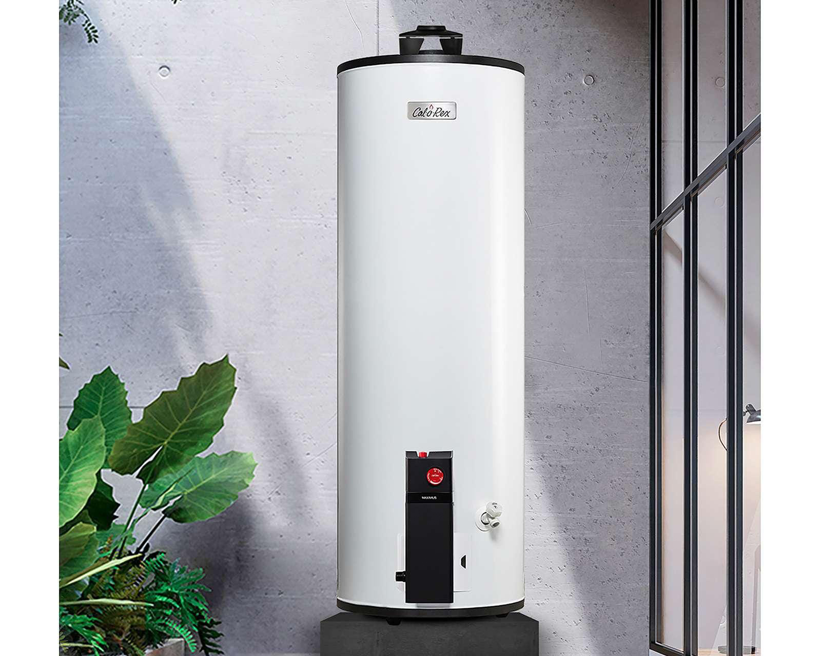 Foto 6 | Foto 6 | Calentador de Agua Calorex Maximus G-60 de 6 Servicios Gas Natural