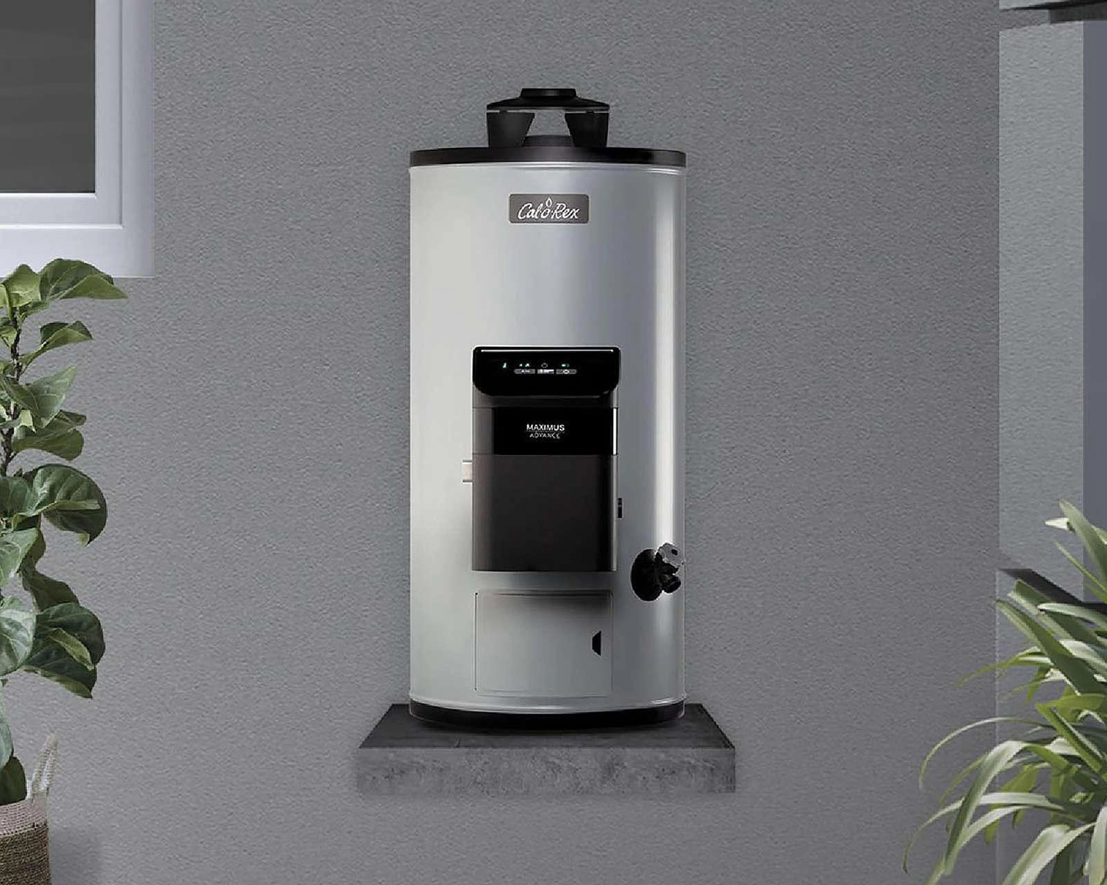 Foto 6 | Foto 6 | Calentador de Agua Calorex Max ADV G10 LP de 1 Servicio Gas LP