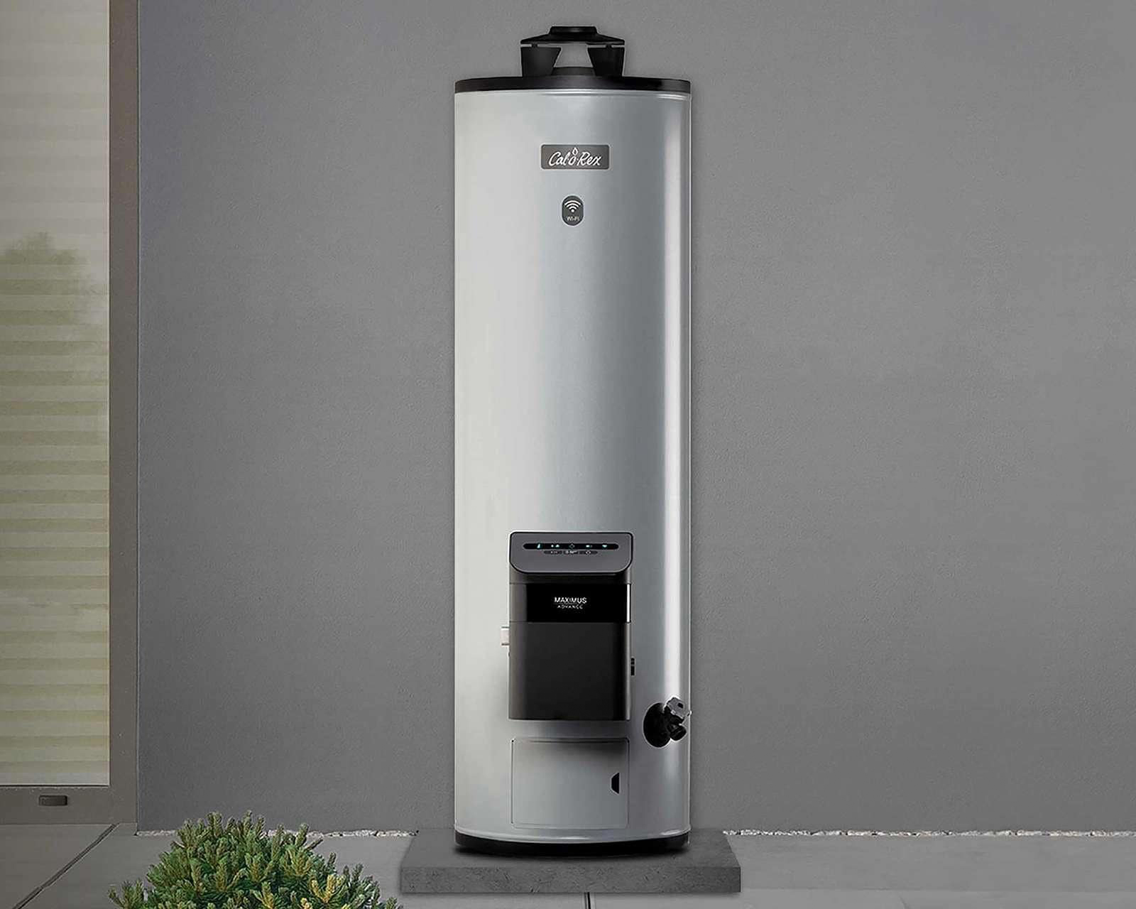 Foto 6 | Foto 6 | Calentador de Agua Calorex Maximus Advance Wi-Fi G20 2 Servicios Gas Natural