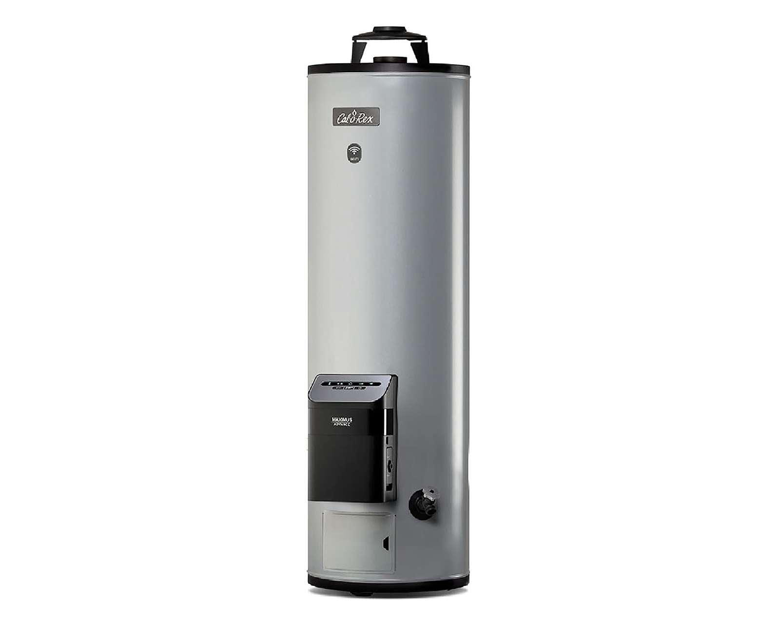 Foto 4 pulgar | Foto 3 | Calentador de Agua Calorex Max ADV Wifi G20 2 Servicios Gas LP