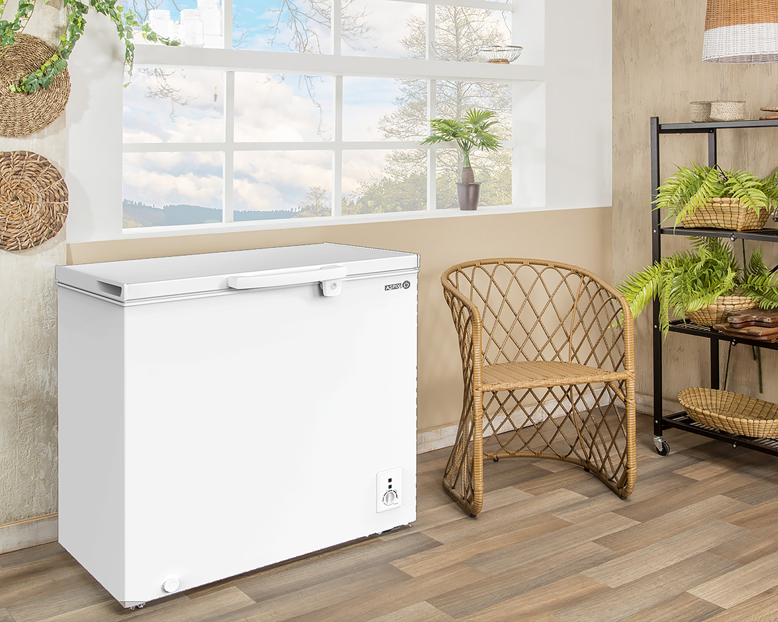 Foto 10 pulgar | Foto 9 | Congelador Aspix 9 Pies Blanco AXM09-CFB