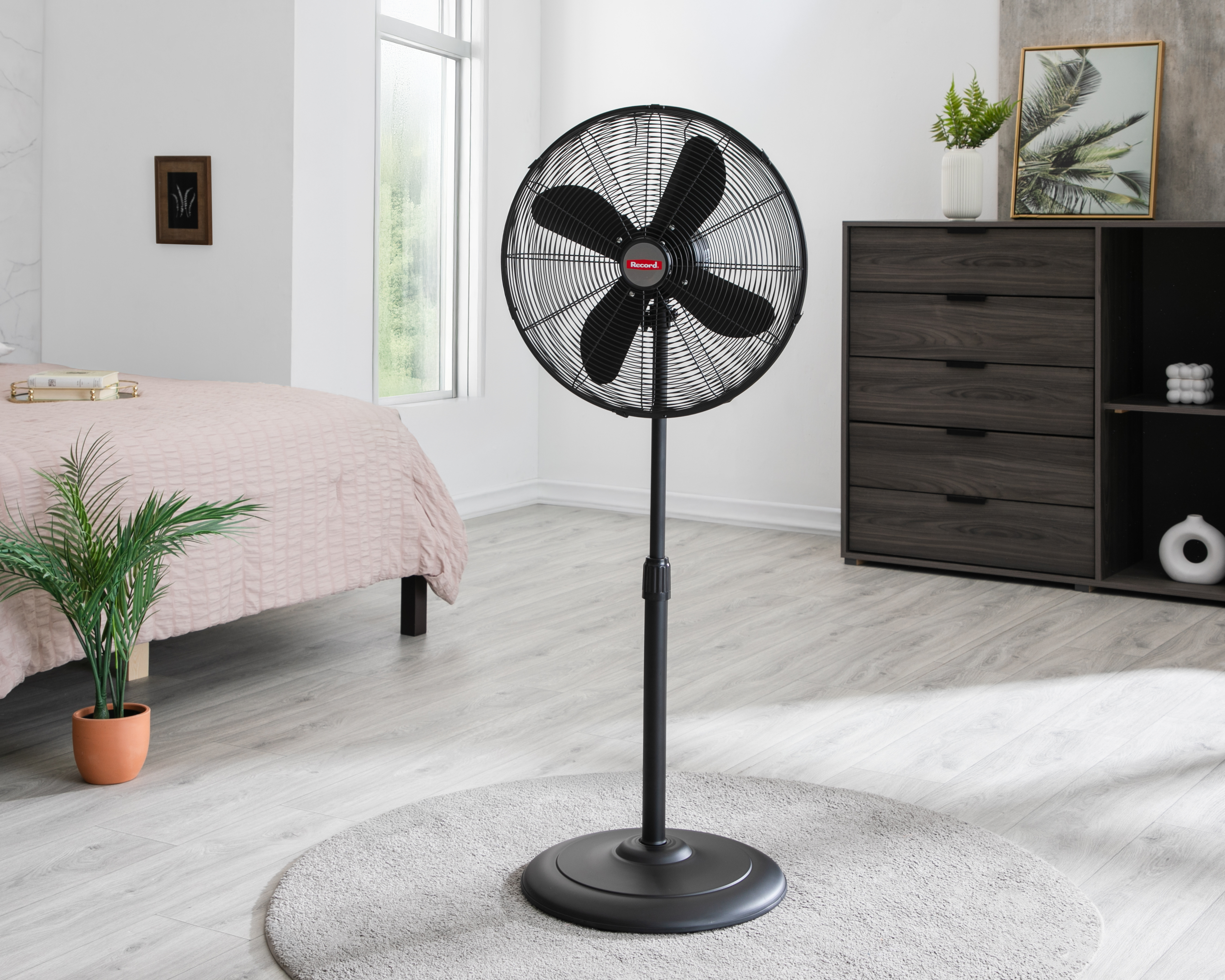 Foto 5 | Foto 5 | Ventilador de Pedestal Record 18"