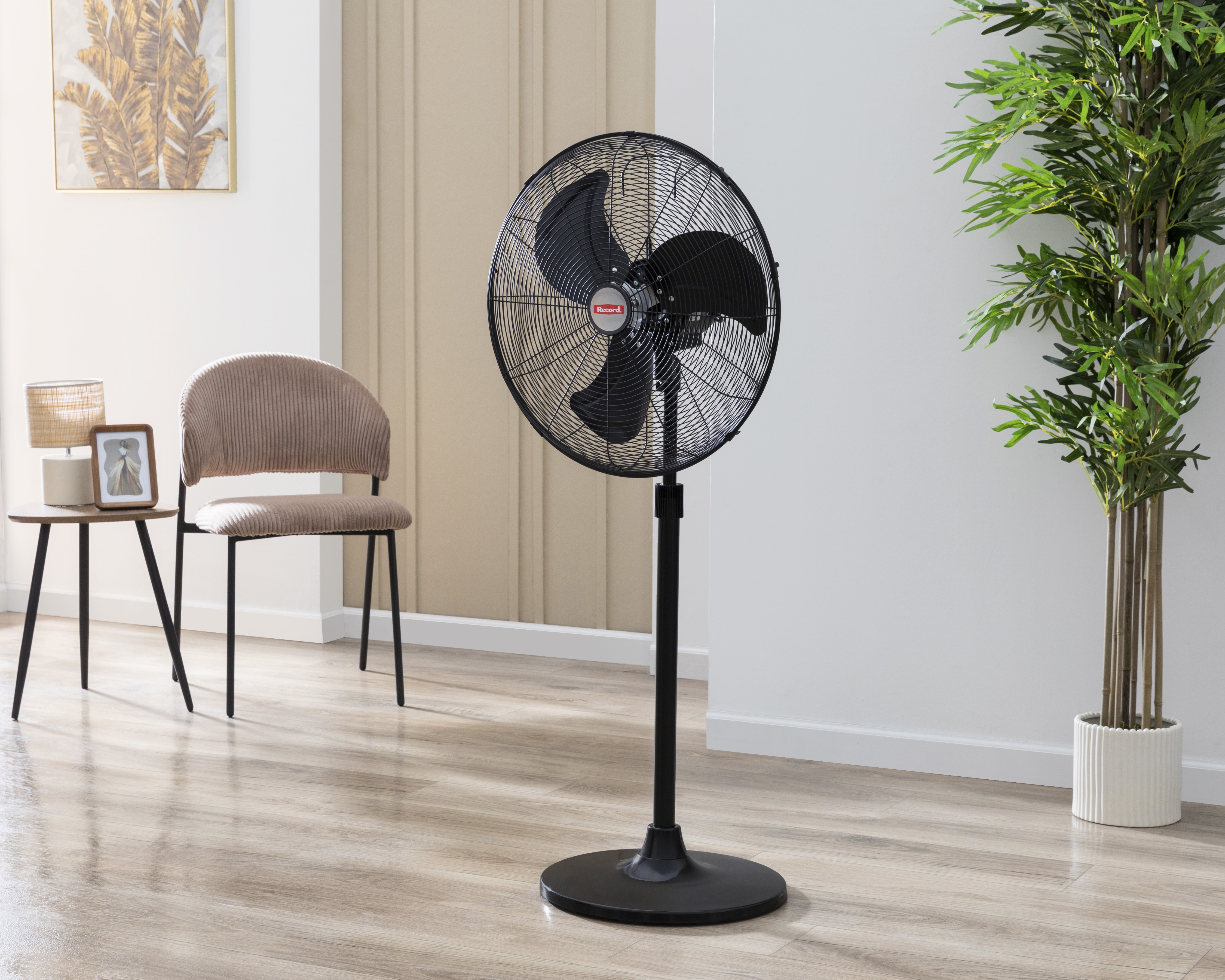 Foto 5 | Foto 5 | Ventilador de Pedestal Record 20"
