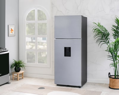Foto 9 | Foto 9 | Refrigerador Samsung Top Mount 15 Pies Plateado RT42DG6224S9EM
