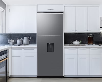 Foto 8 | Foto 8 | Refrigerador Samsung Top Mount 14 Pies Plateado RT38DG6224S9EM