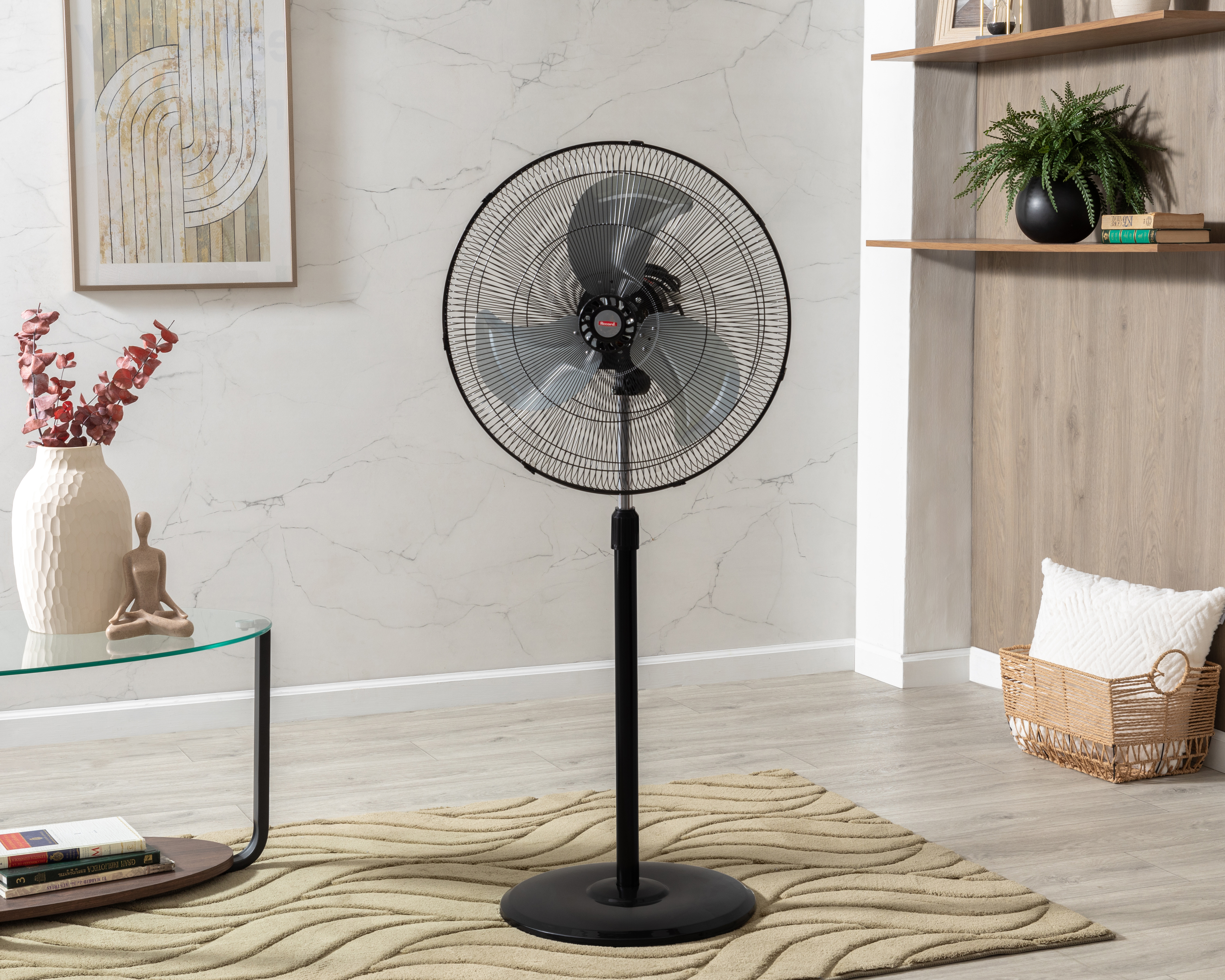 Foto 5 | Foto 5 | Ventilador de Pedestal Record 20 Pulgadas