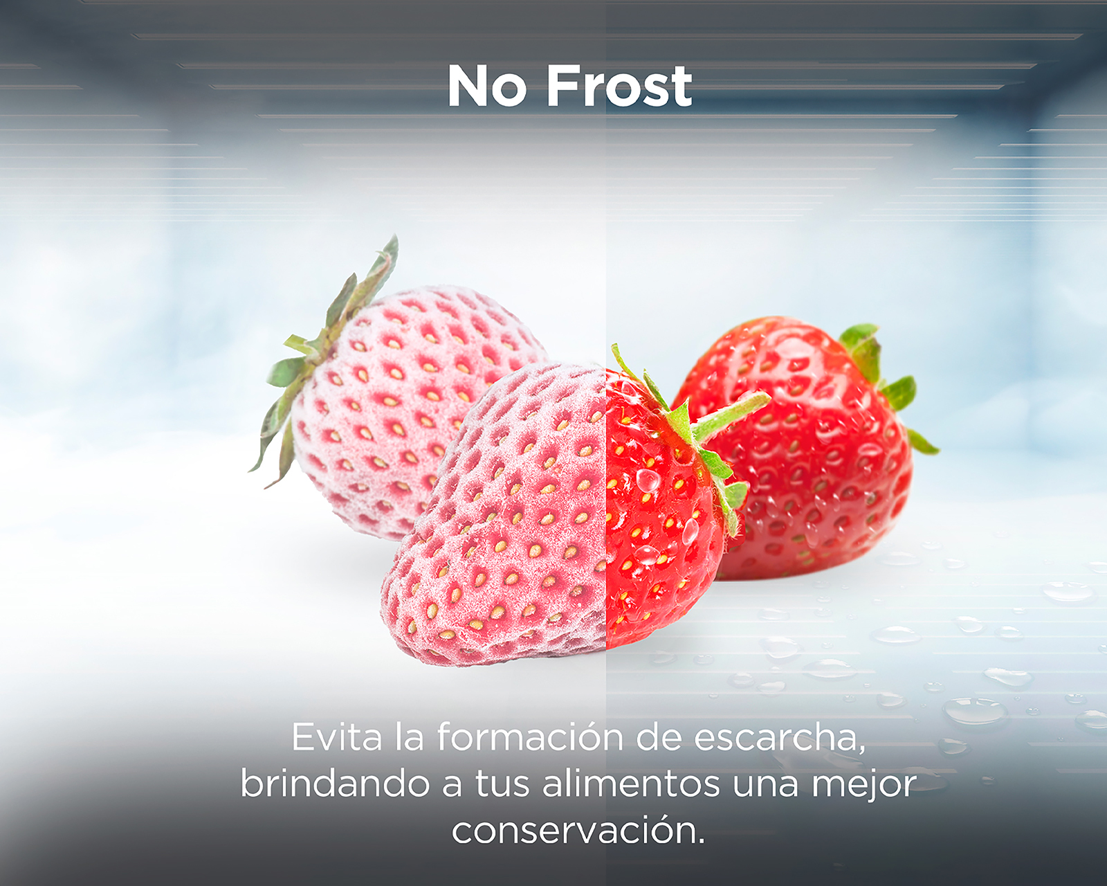 Foto 5 | Foto 5 | Congelador TCL Vertical 7 Pies Gris TVF-07W