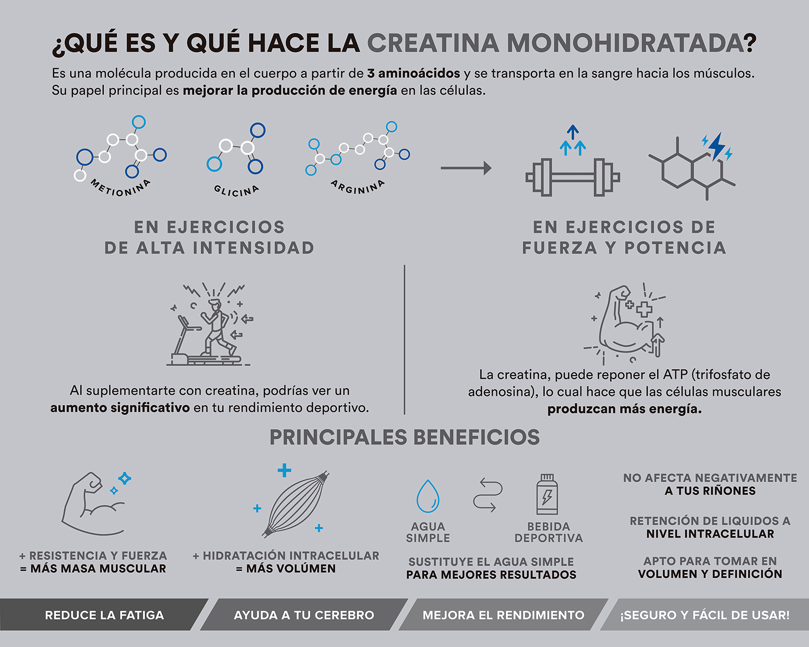 Foto 5 | Foto 5 | Creatina Monohidratada Birdman de Alta Pureza 450 g