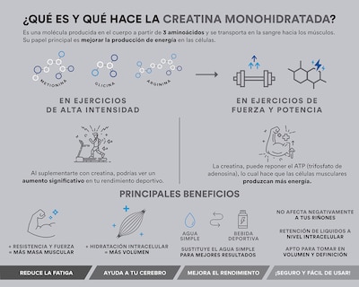 Foto 5 | Foto 5 | Creatina Monohidratada Birdman de Alta Pureza 450 g
