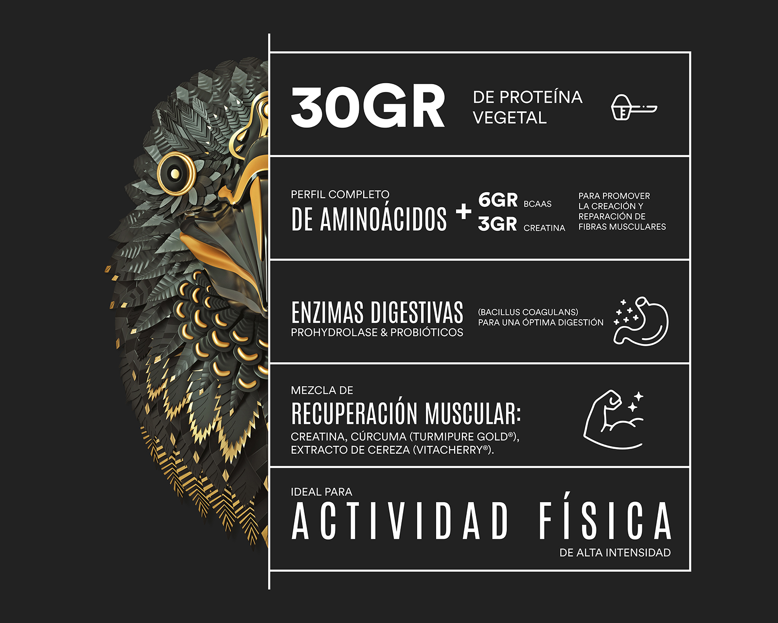 Foto 3 | Foto 3 | Proteína Vegetal Birdman Falcon Sabor Vainilla 722 g