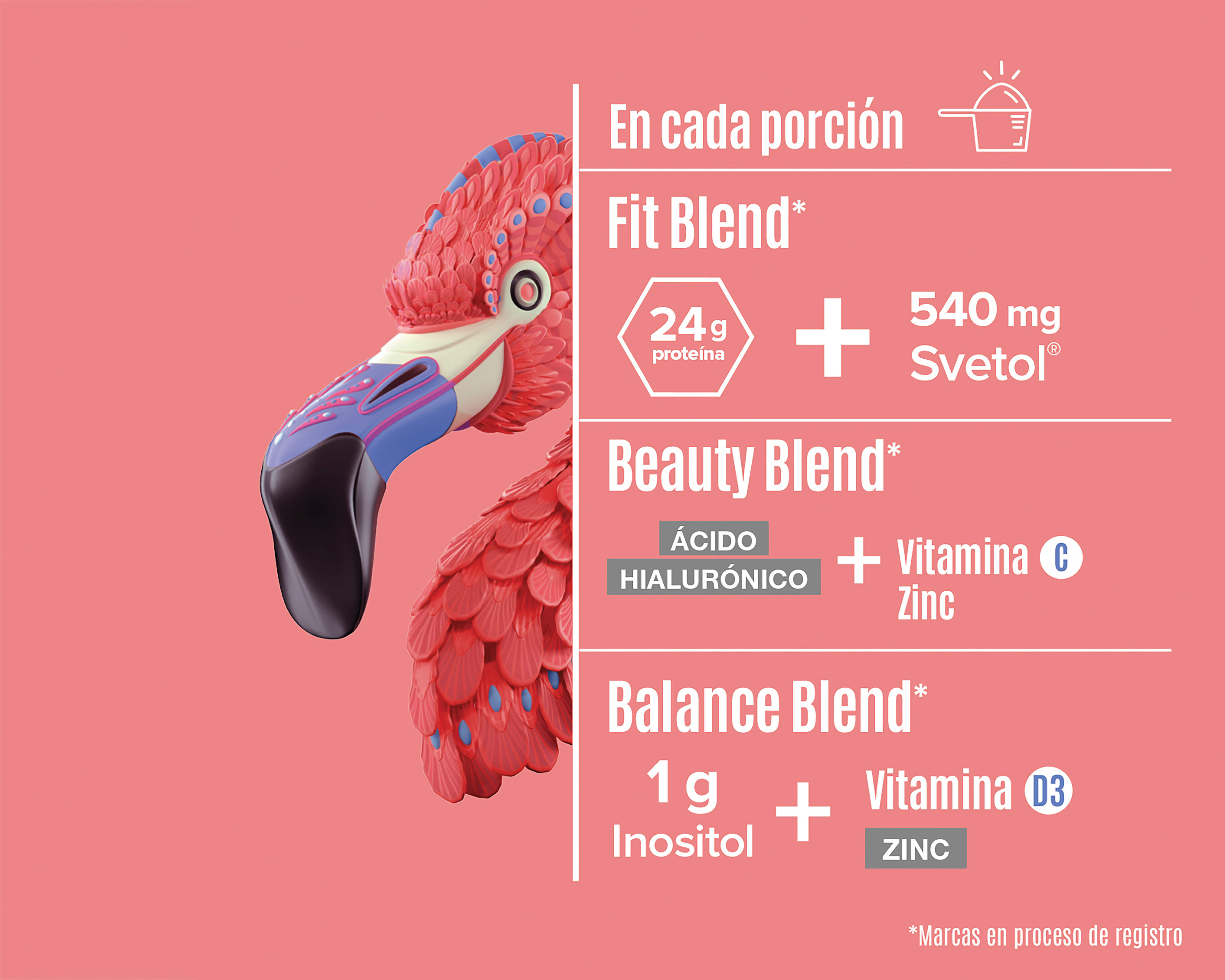 Foto 5 pulgar | Foto 4 | Proteína Vegetal Birdman Fitmingo Sabor Blueberry 510 g