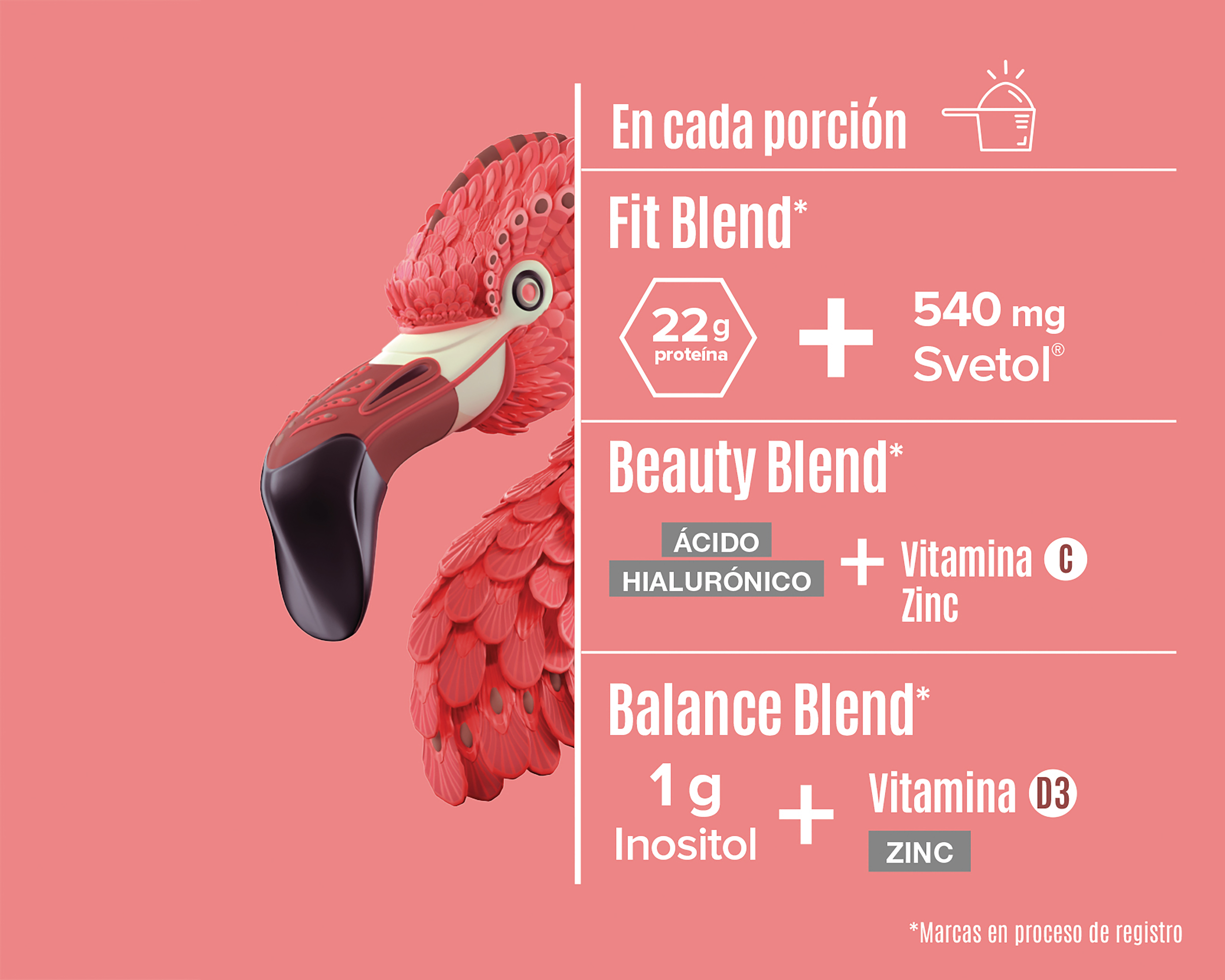 Foto 5 pulgar | Foto 4 | Proteína Vegetal Birdman Fitmingo Sabor Moka 510 g