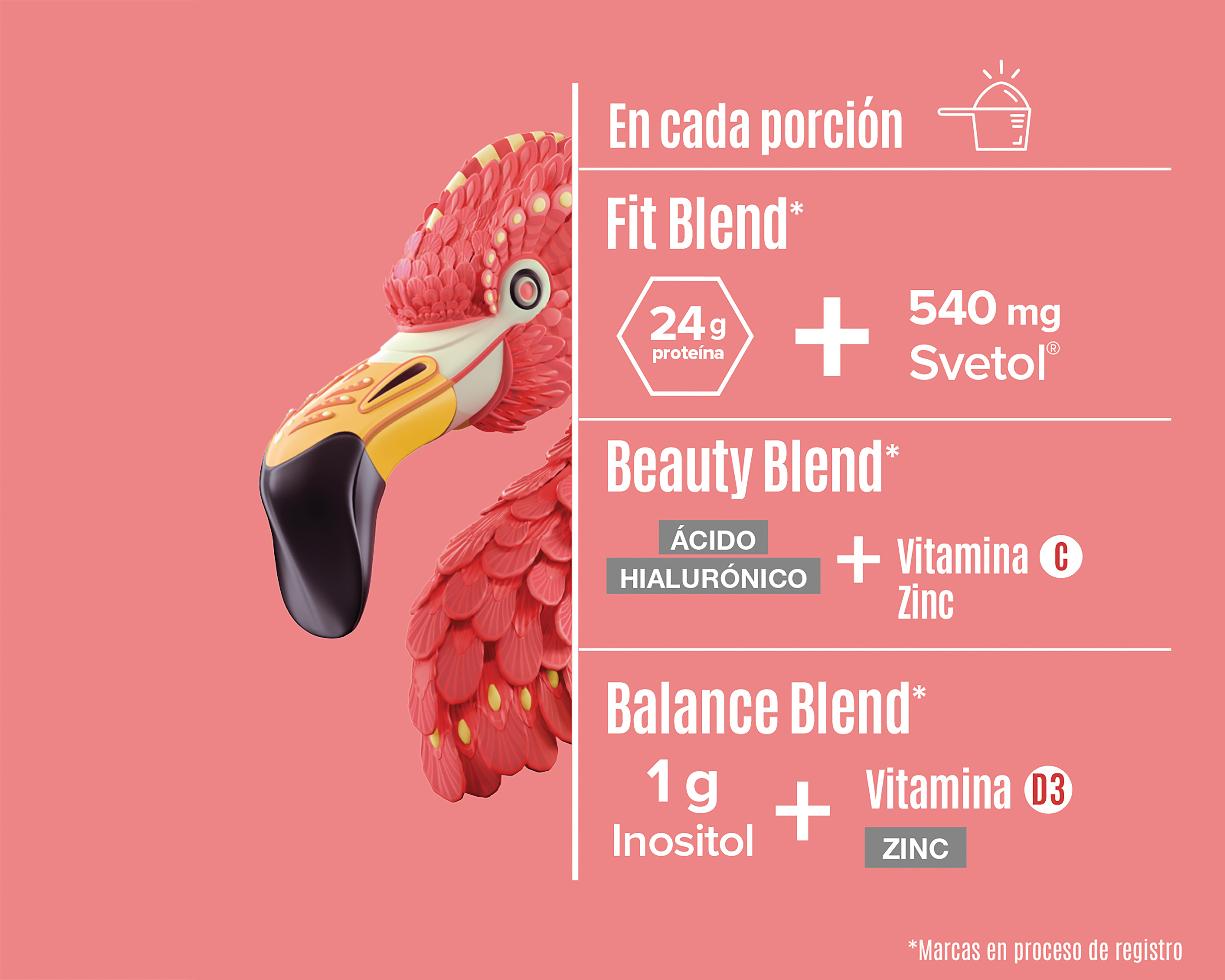 Foto 4 | Foto 4 | Proteína Vegetal Birdman Fitmingo Sabor Vainilla 510 g