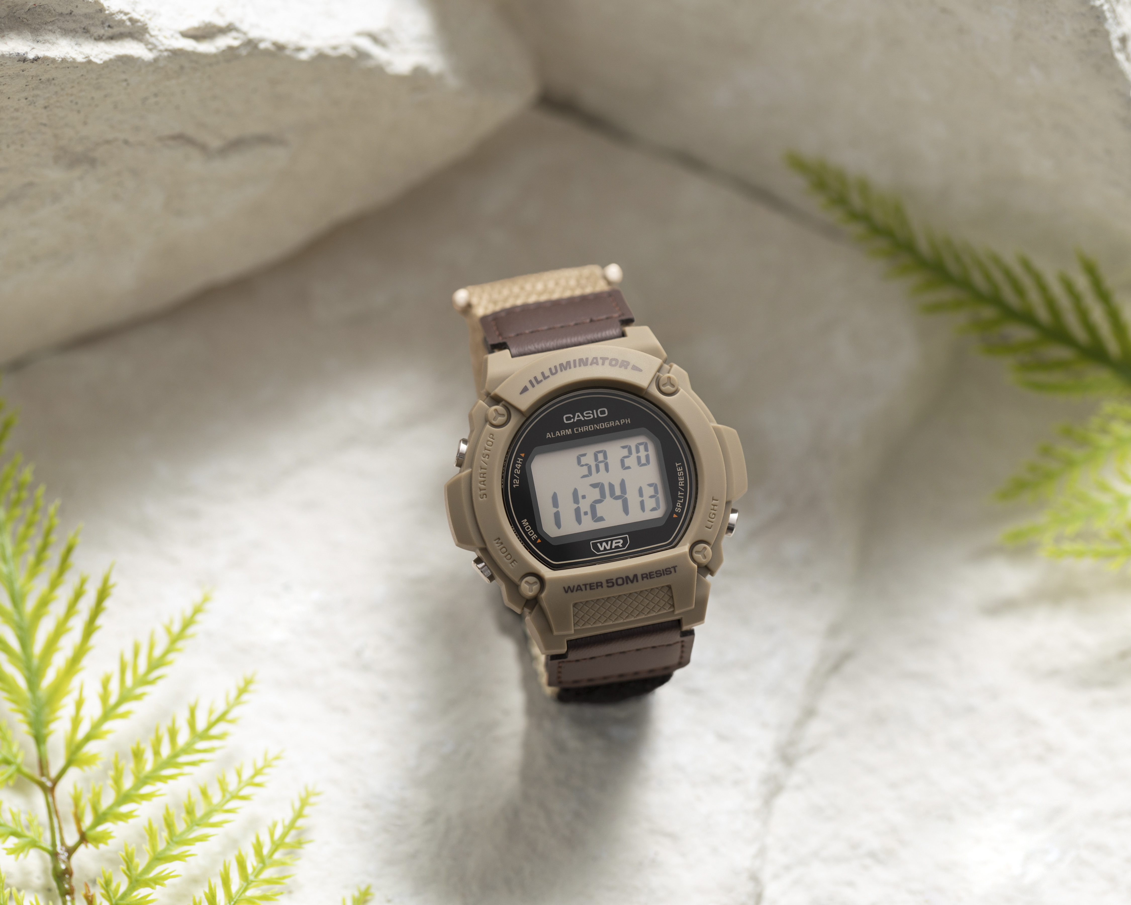 Foto 5 pulgar | Foto 4 | Reloj para Hombre Casio MW-240B-3BVCF Café-Dorado